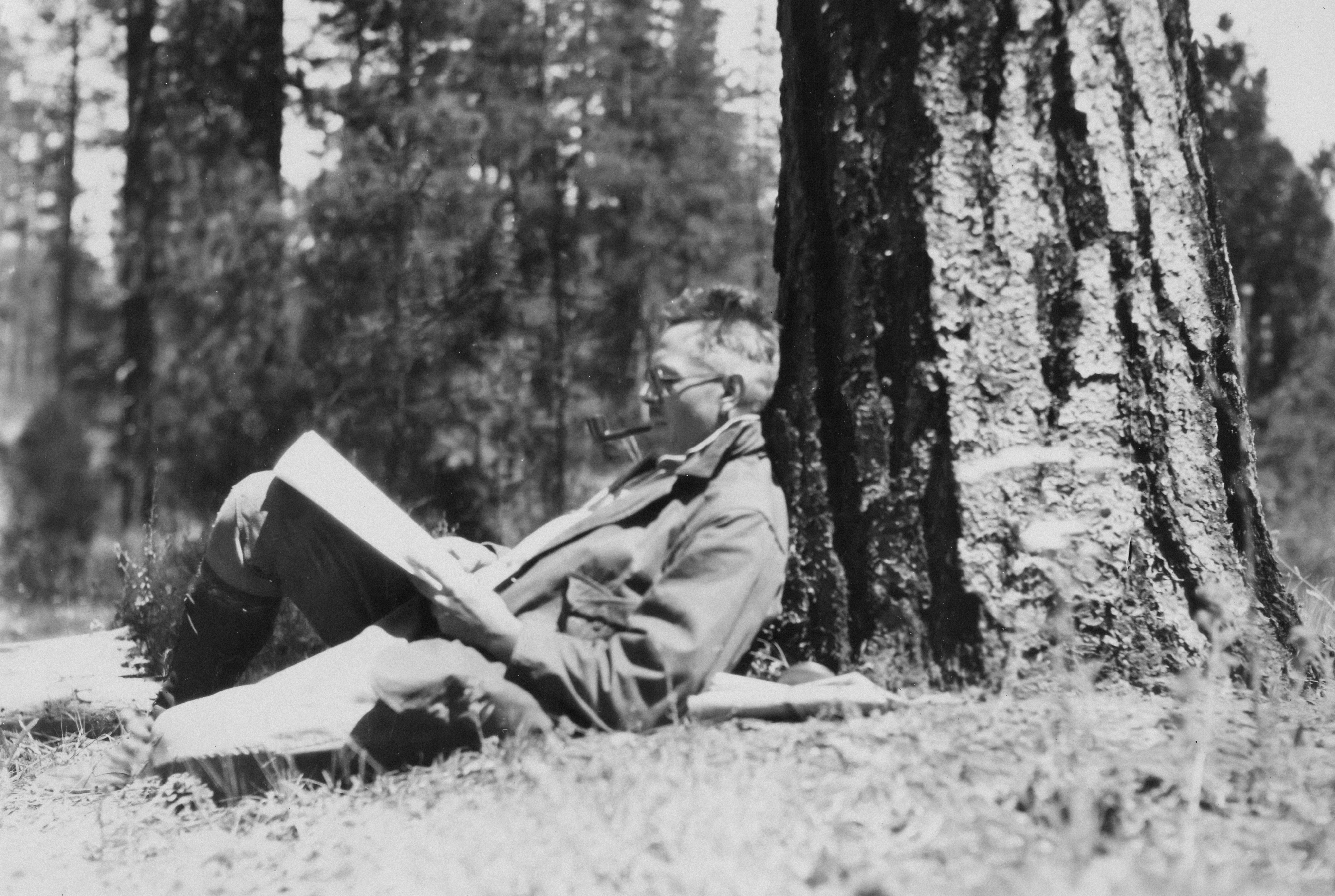 Photo by oregonstateuni