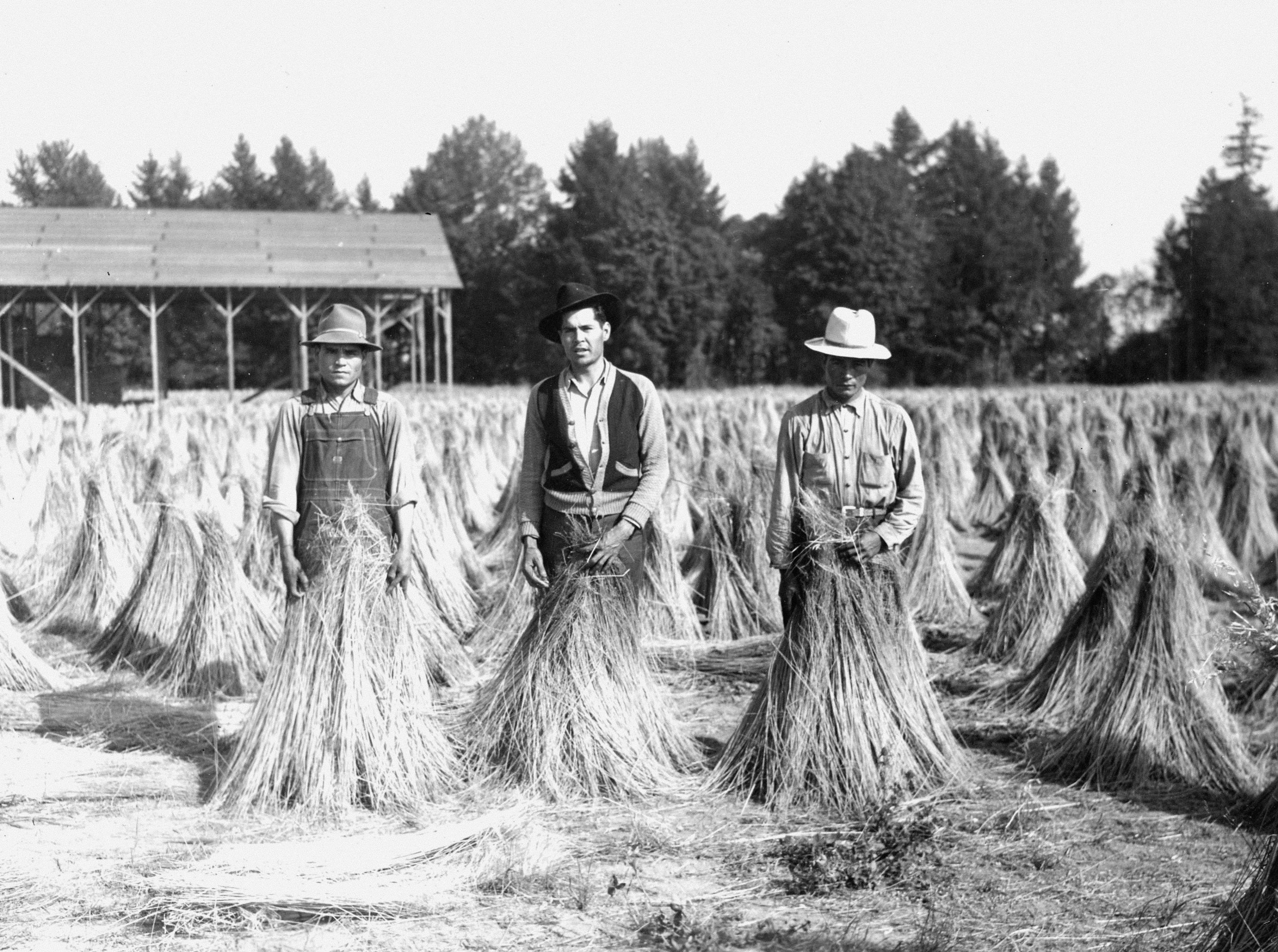 A couple of men standing next to each other in a field