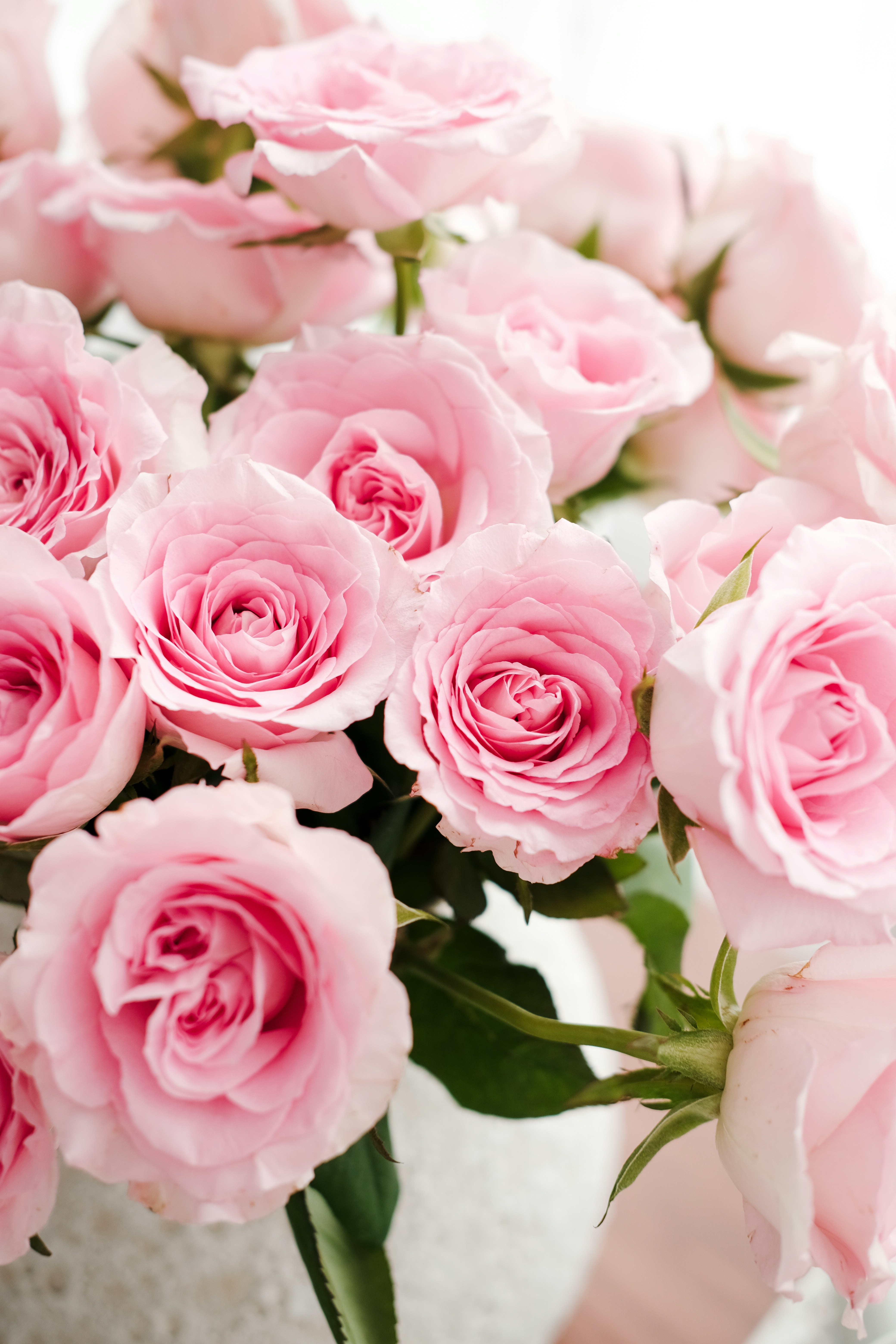 Photo by nganduong93