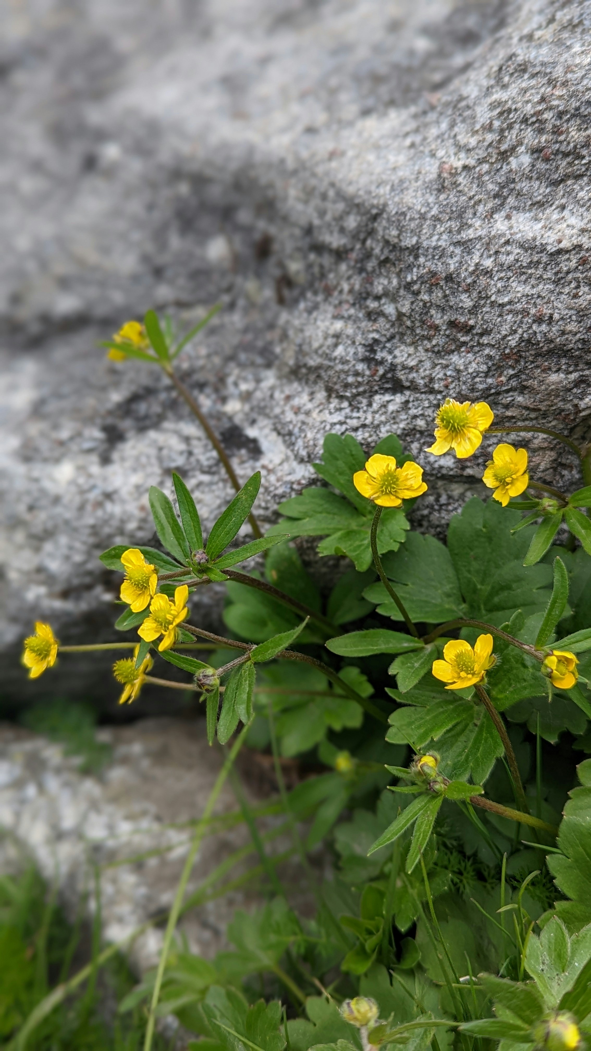 Photo by parulkhetan