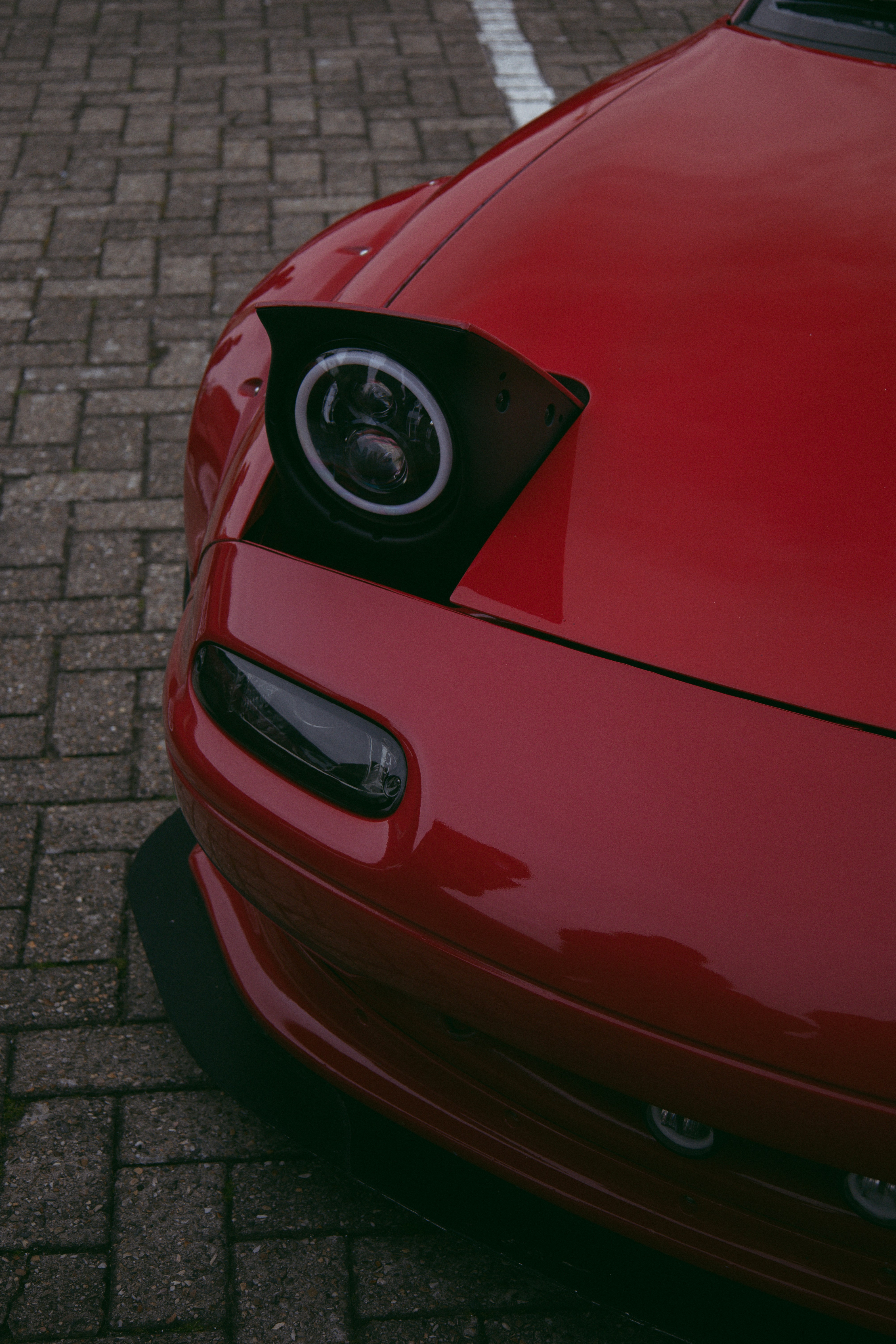 Photo by daisybunnii