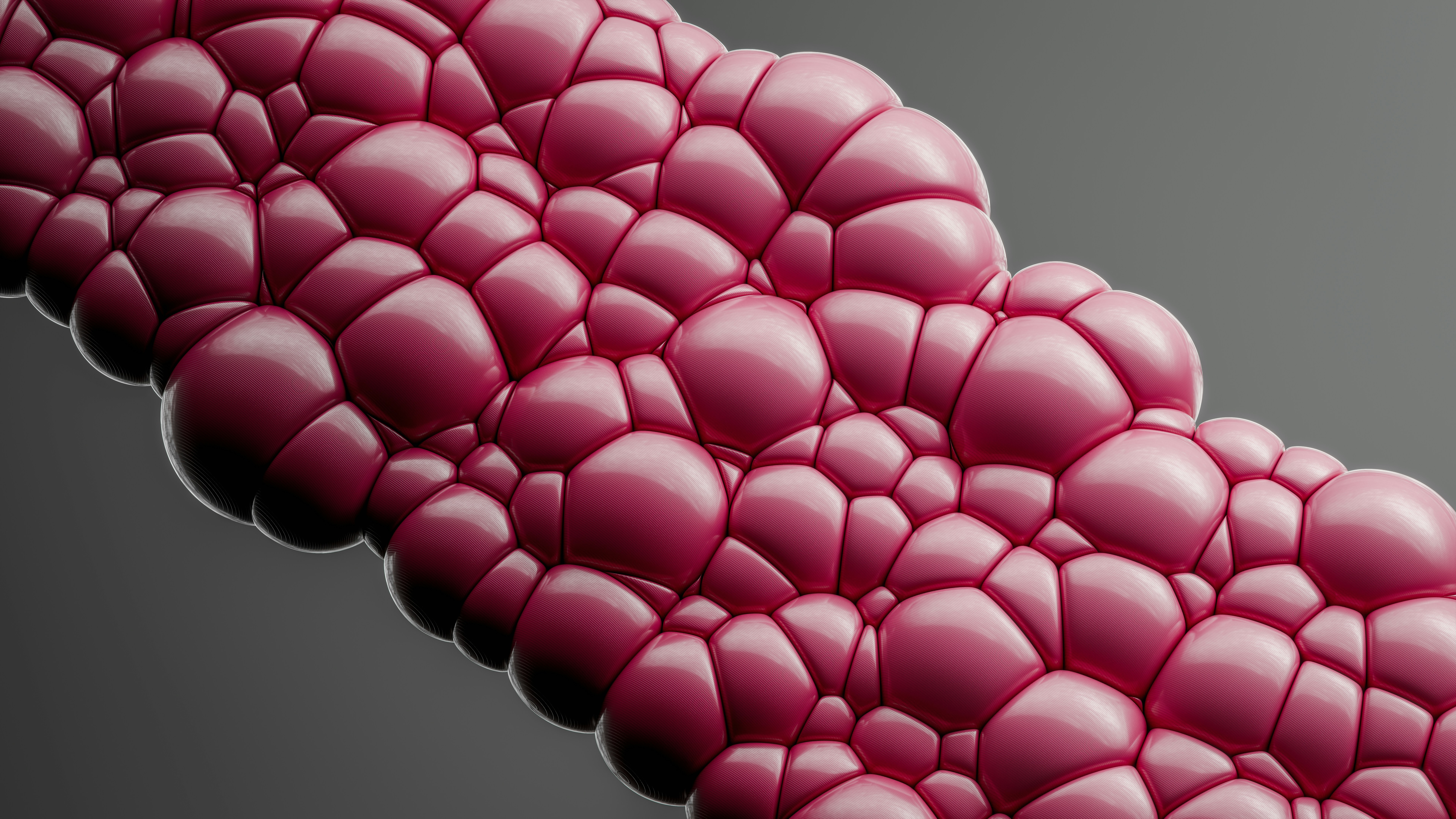 Could Oxalates Be Contributing To Bladder Dysfunction?