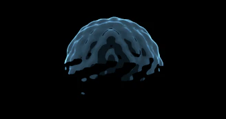 A black and white photo of a brain