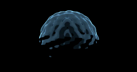 A black and white photo of a brain