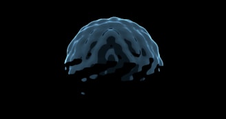 A black and white photo of a brain