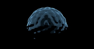 A black and white photo of a brain