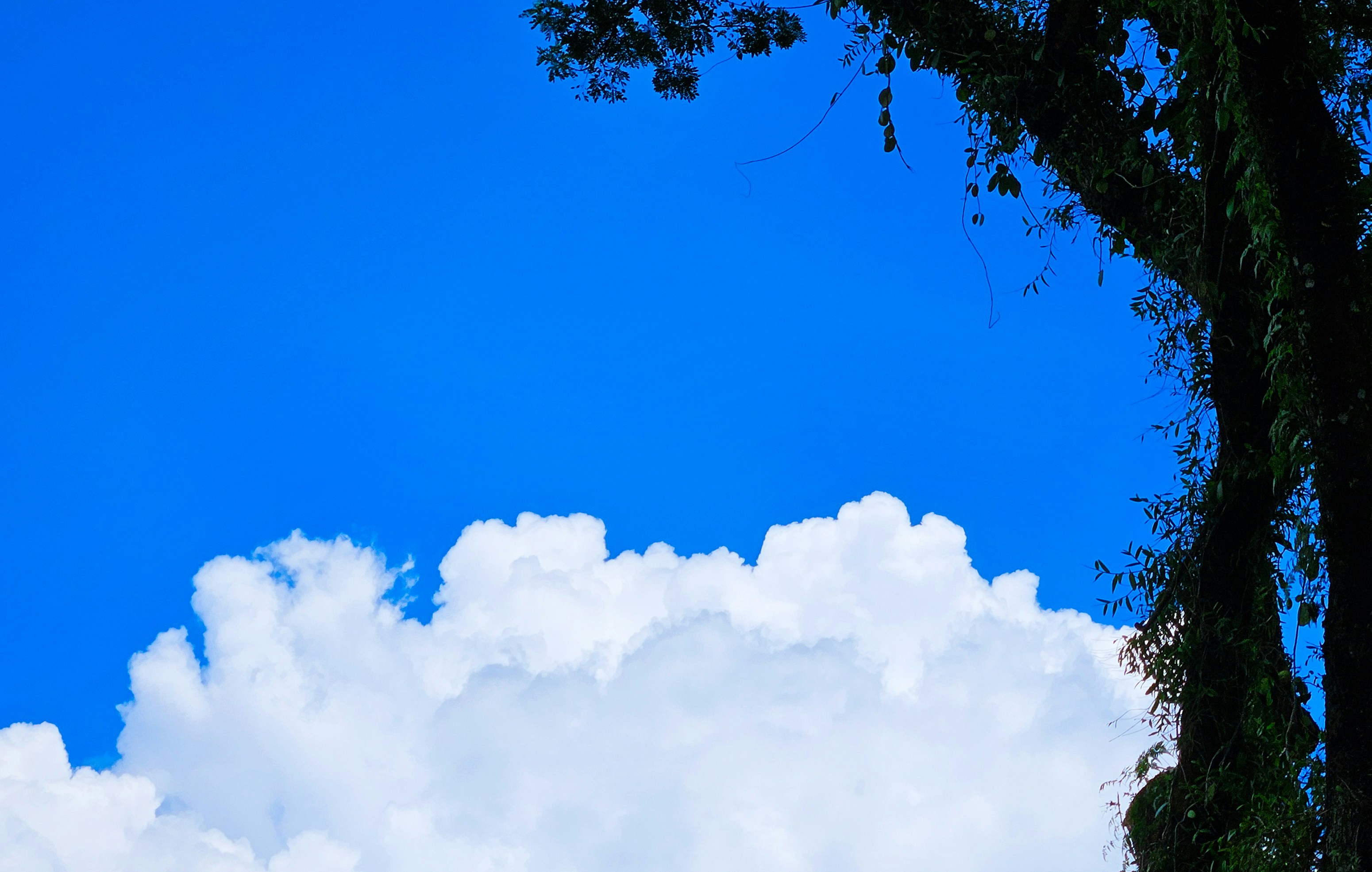 Photo by yubimuhammadh