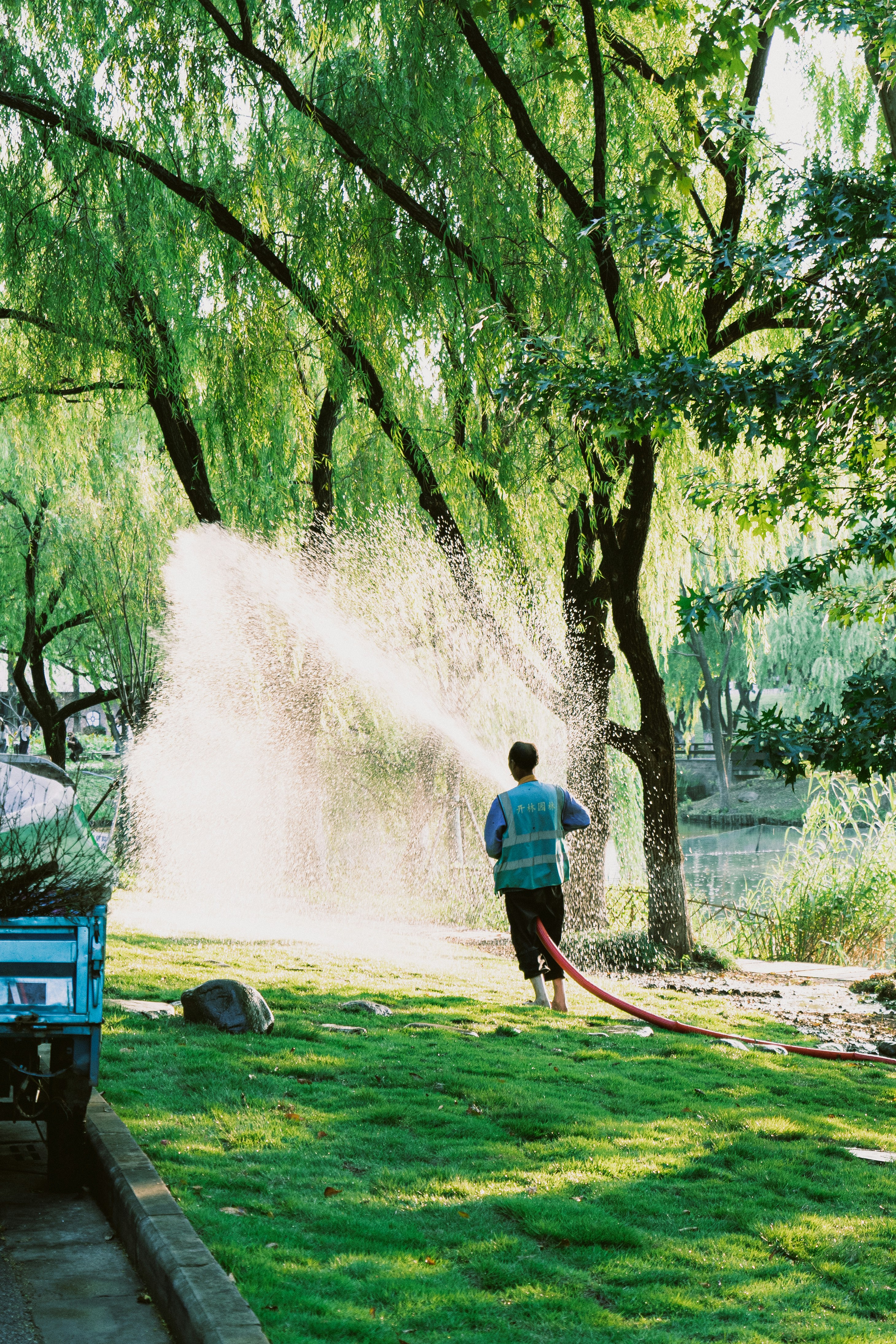 Understanding Lawn Irrigation Systems: A Comprehensive Guide for Homeowners