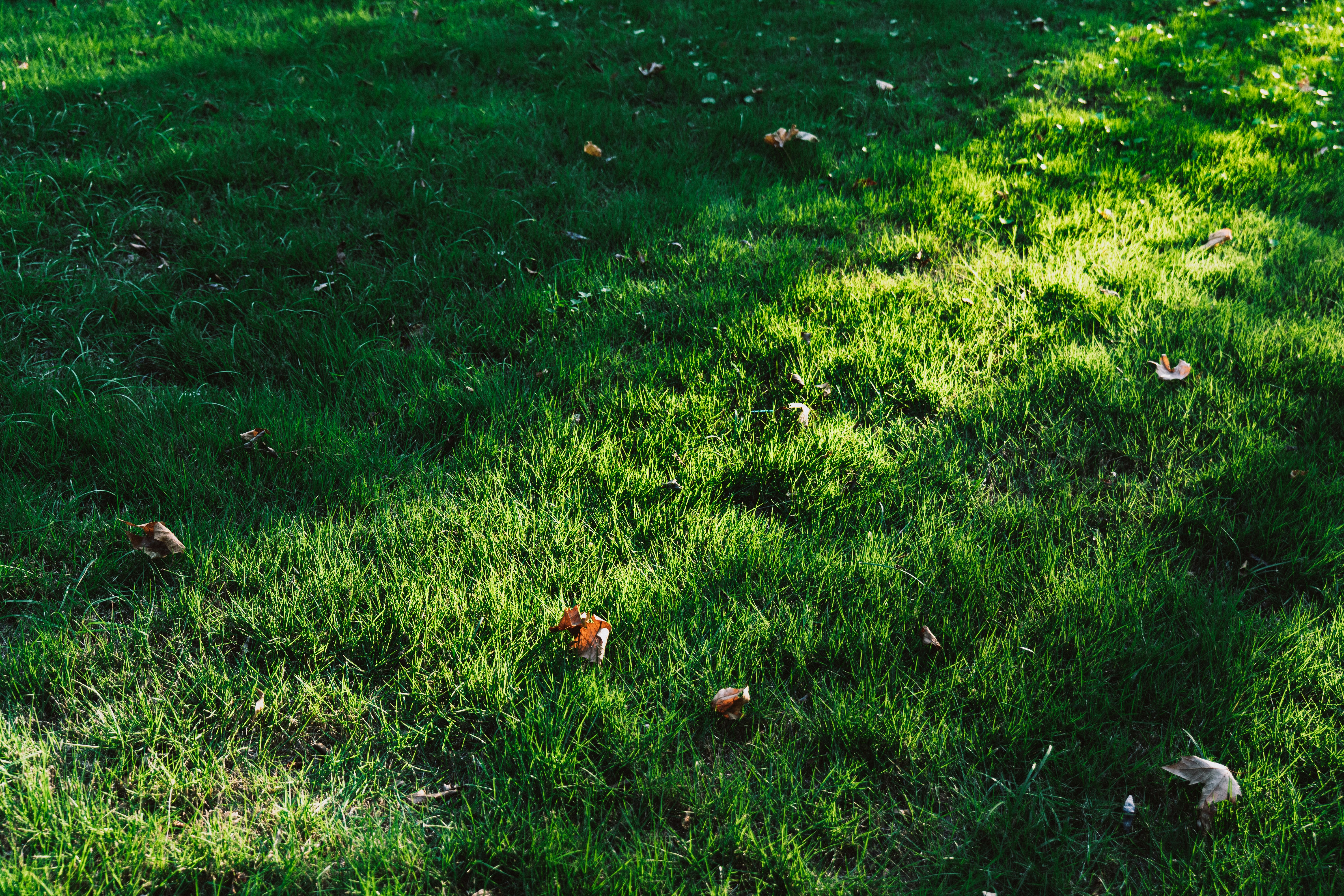 Photo by aasing_gwok