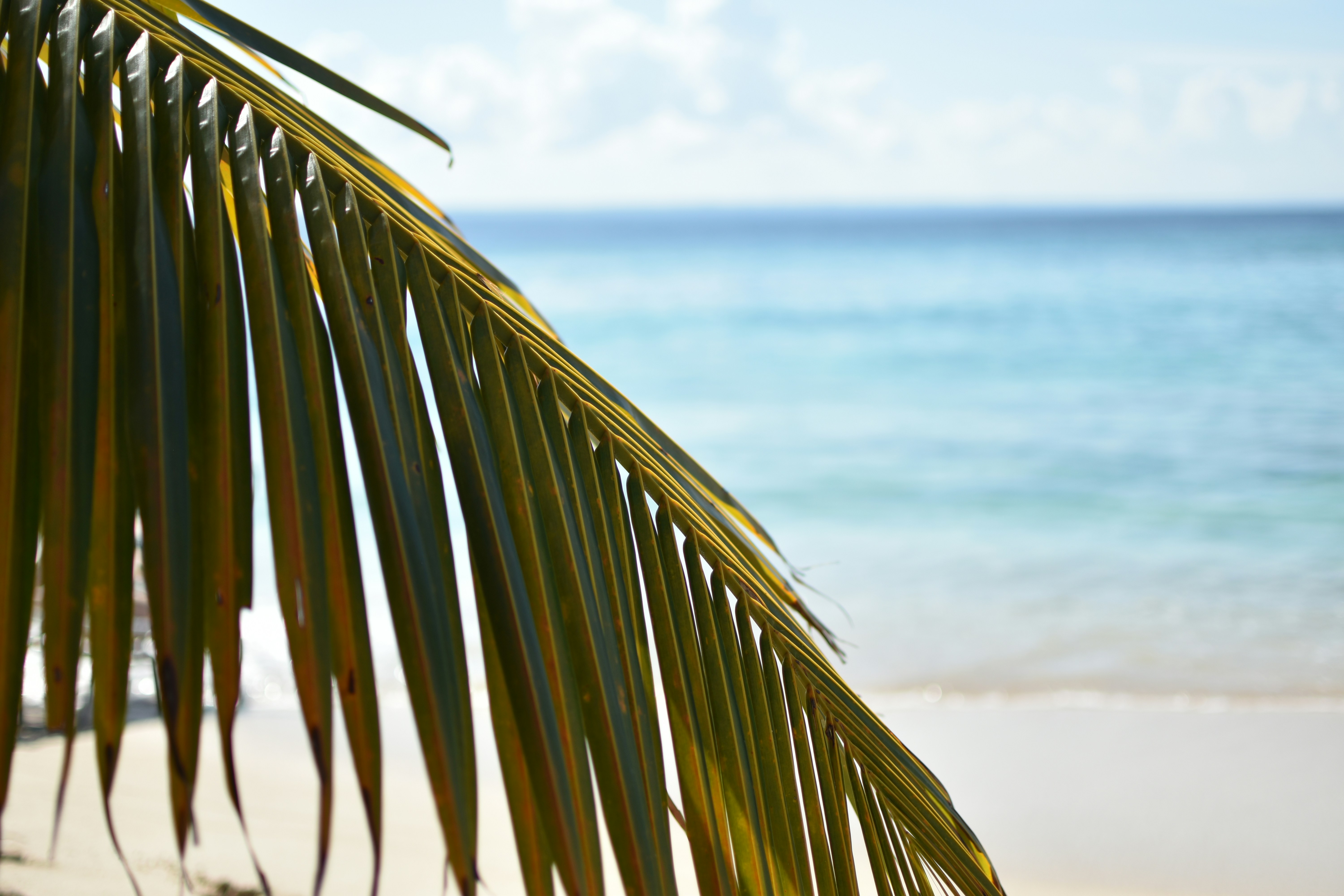 Photo by yevhen_stienin