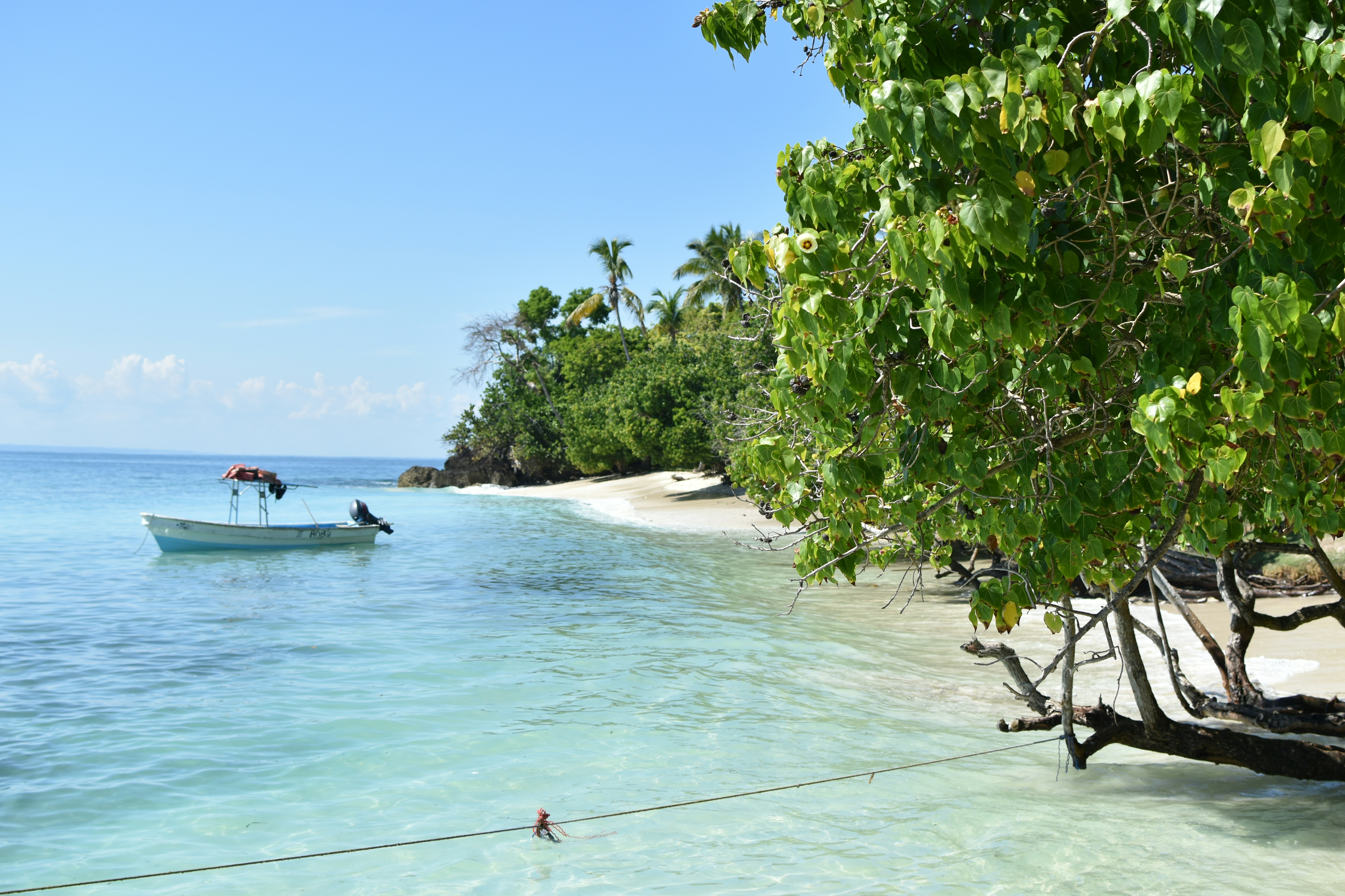 Photo by yevhen_stienin