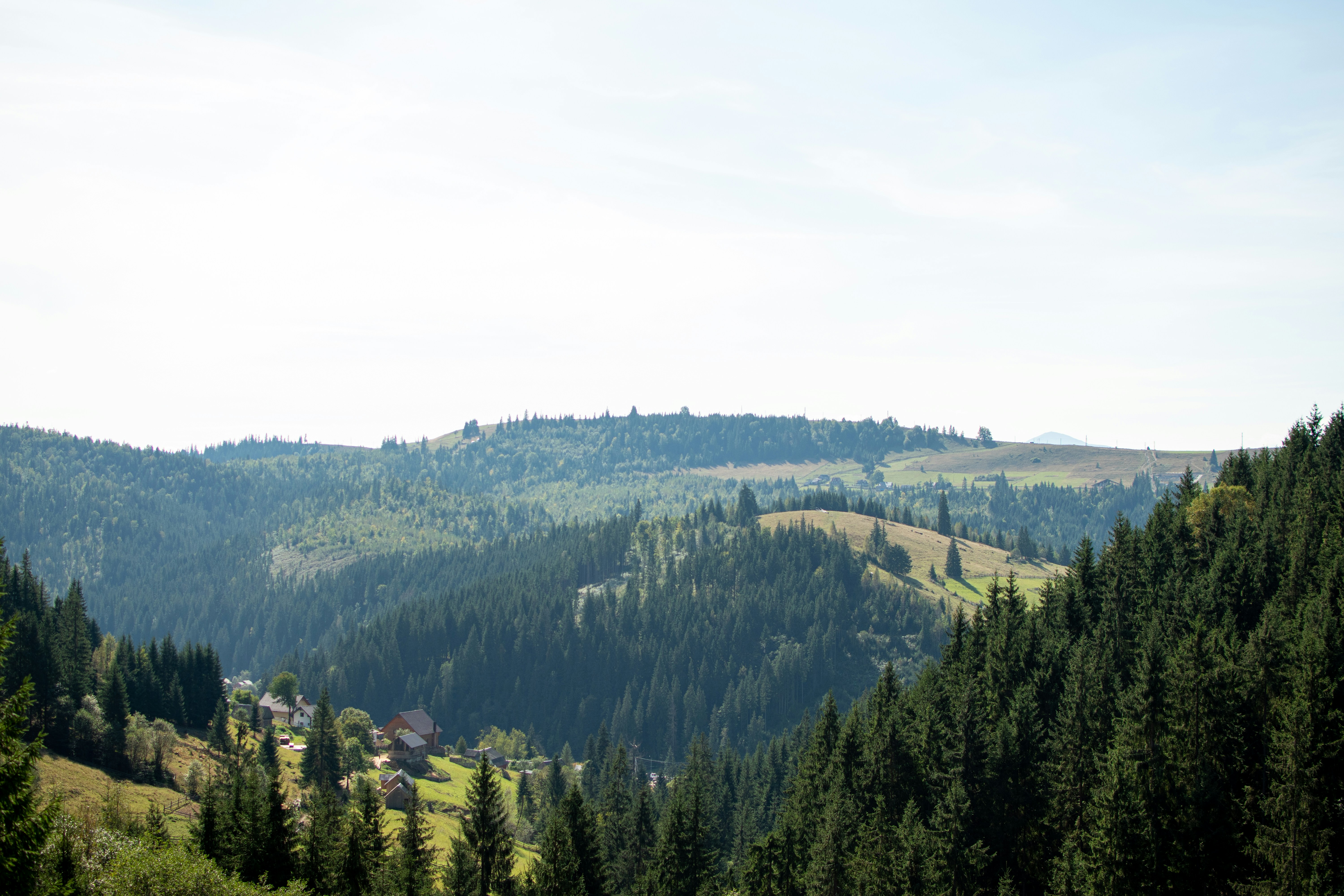 Photo by yevhen_stienin