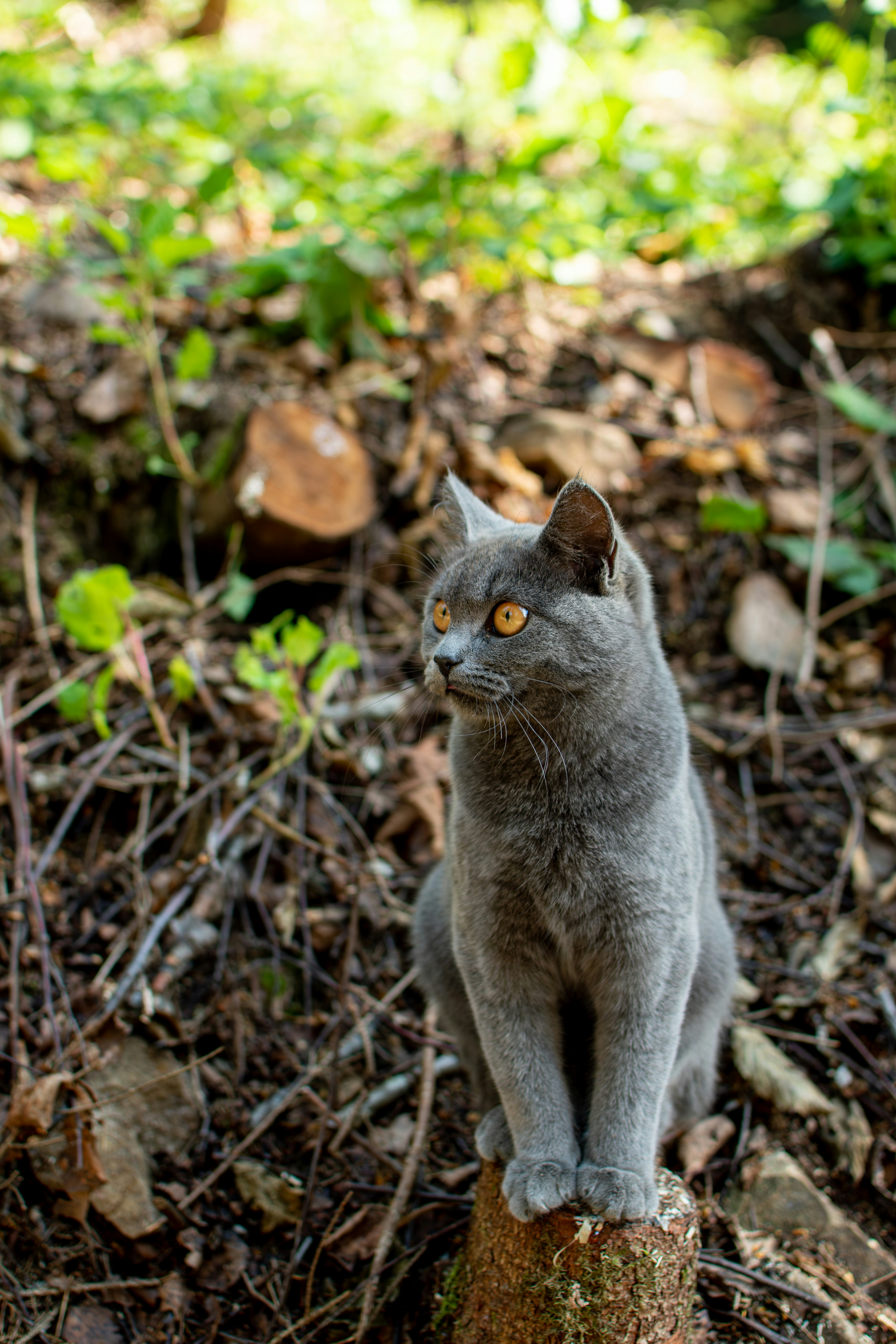 Photo by yevhen_stienin