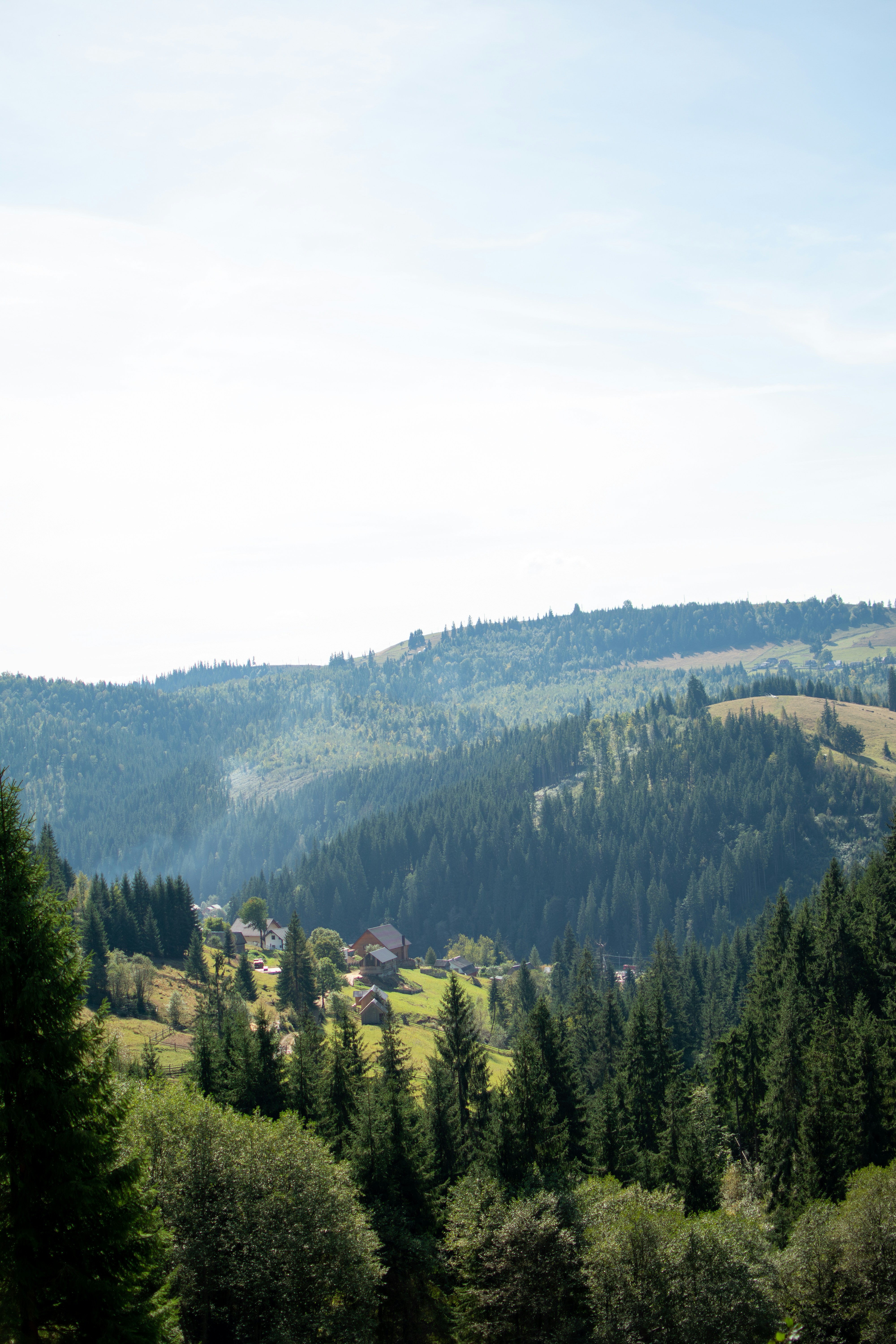 Photo by yevhen_stienin