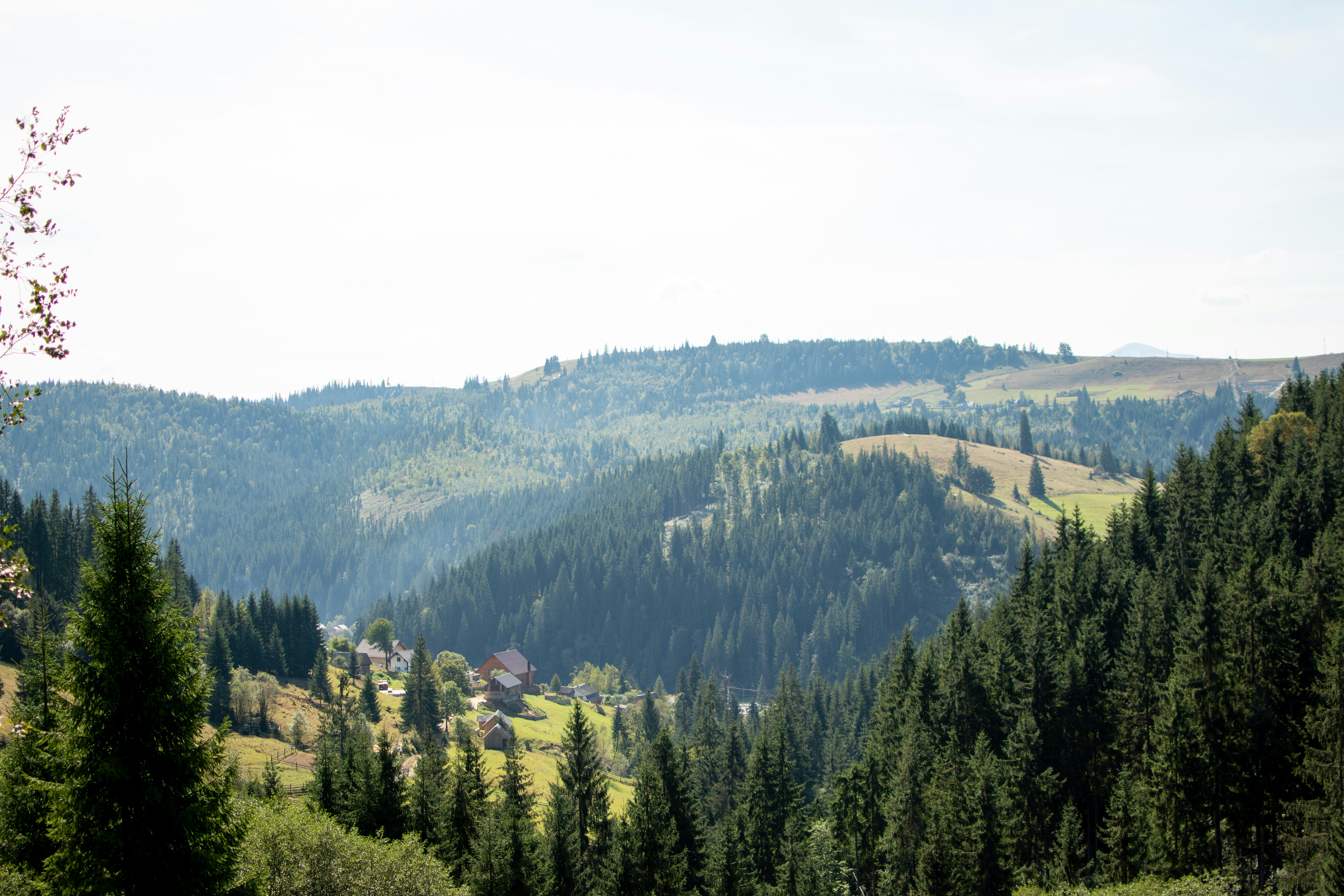 Photo by yevhen_stienin