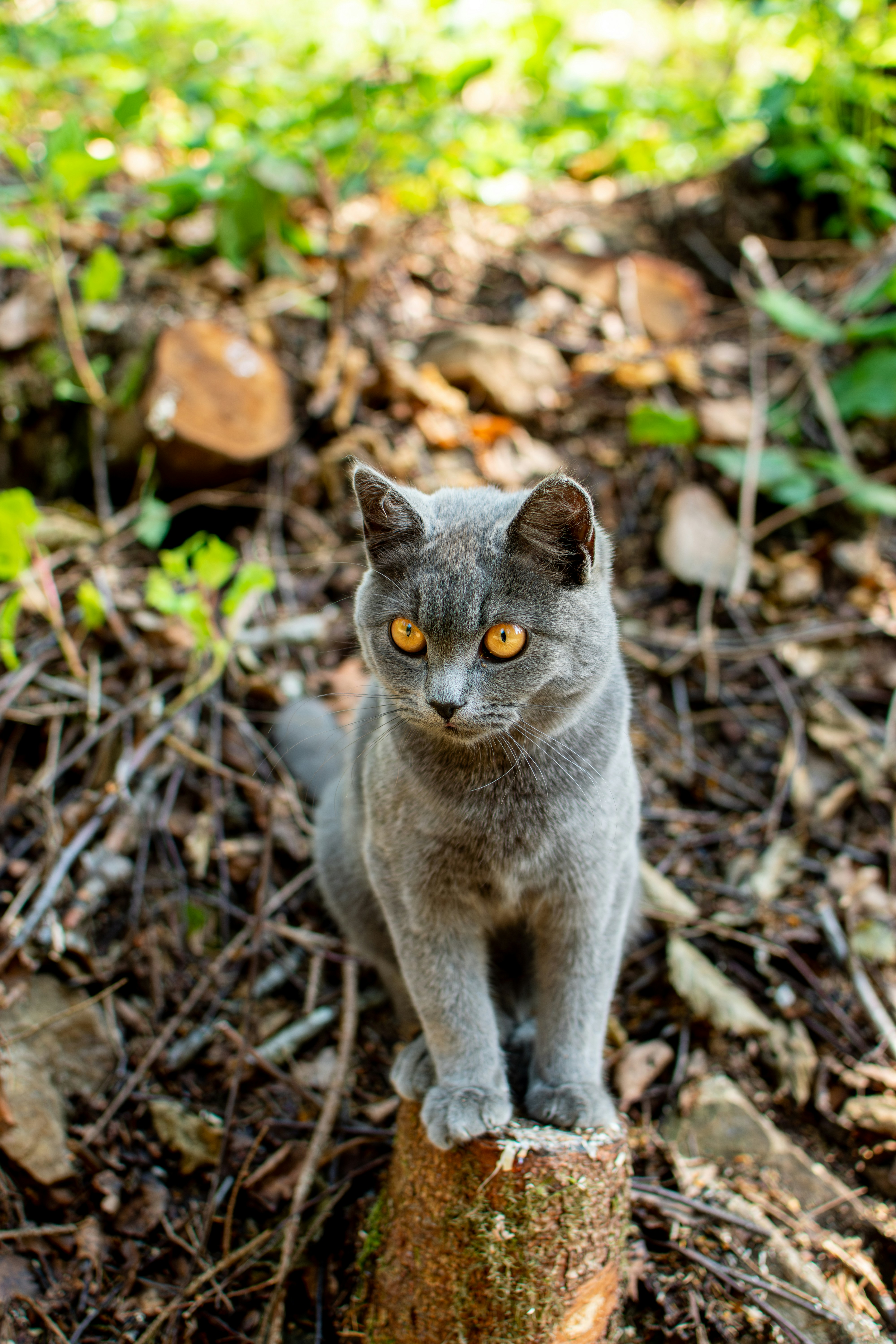 Photo by yevhen_stienin