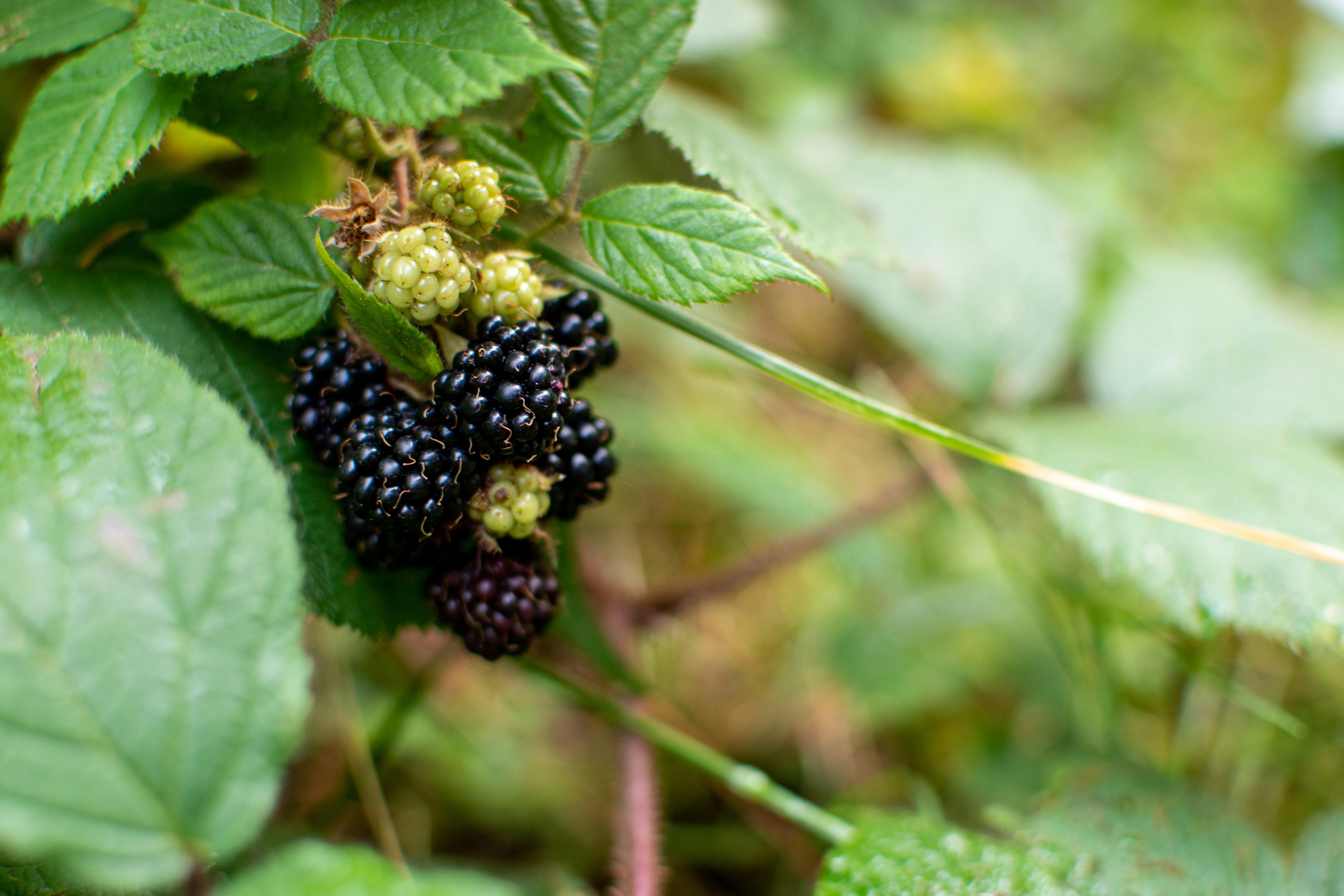 Photo by yevhen_stienin