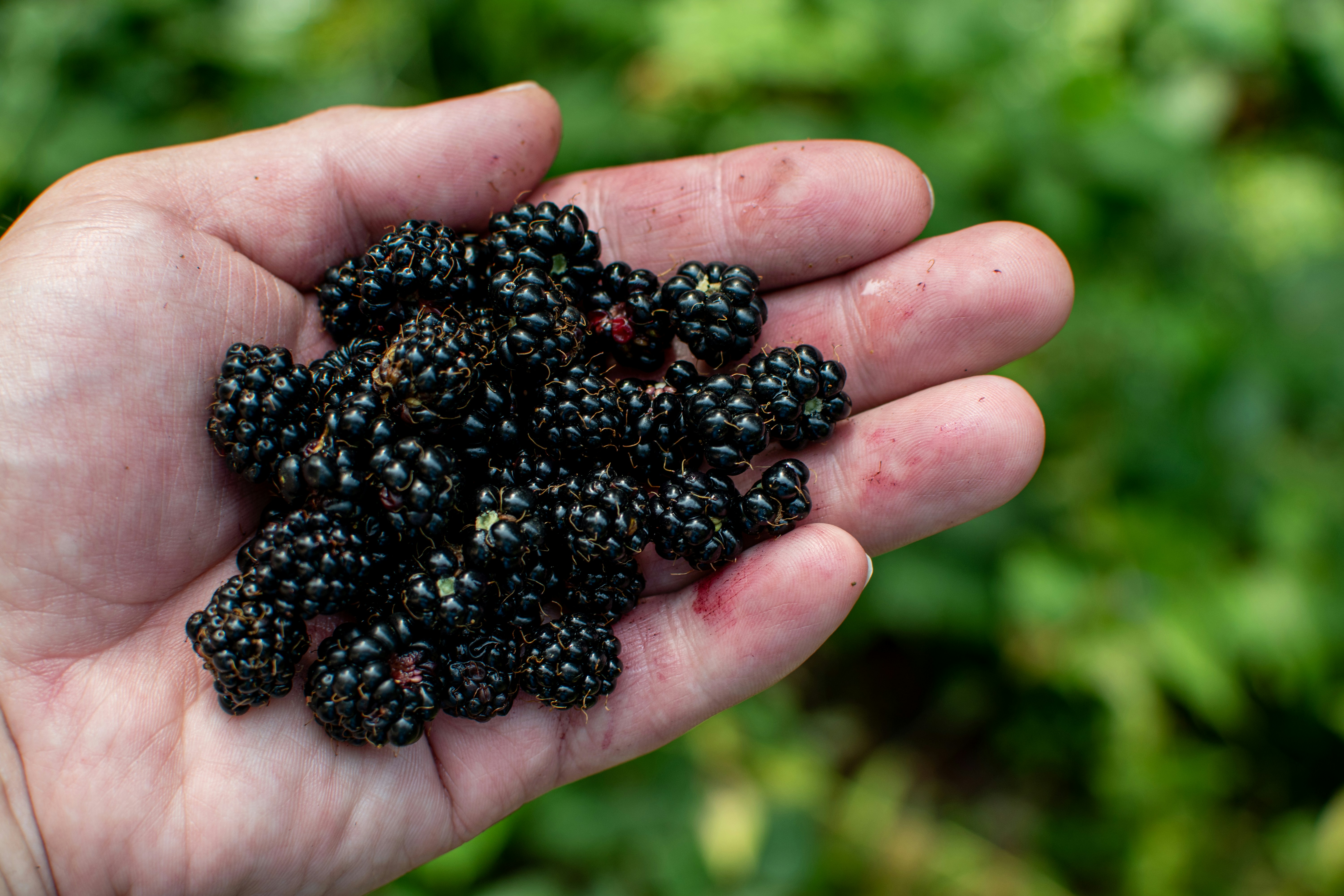 Photo by yevhen_stienin