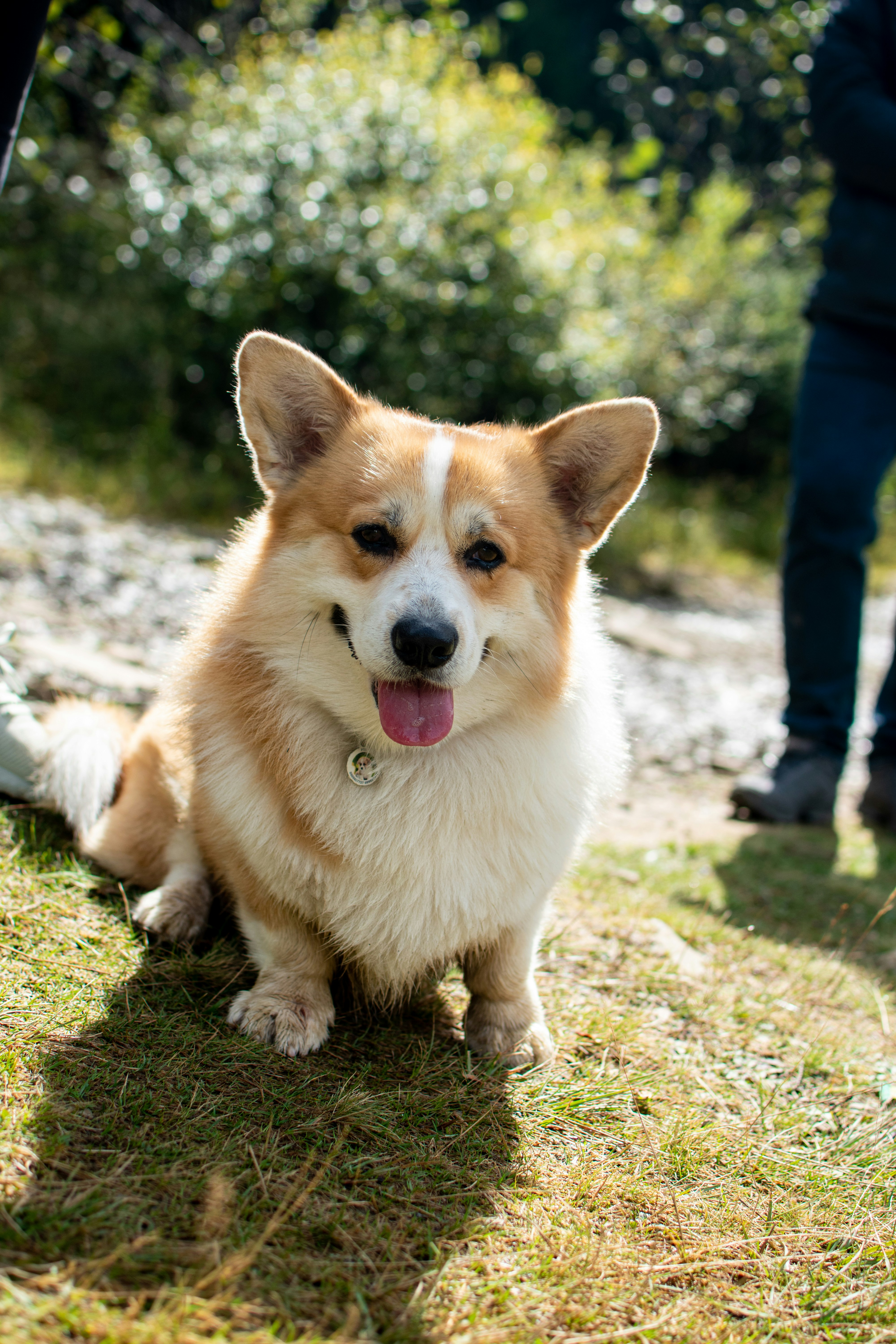 Photo by yevhen_stienin