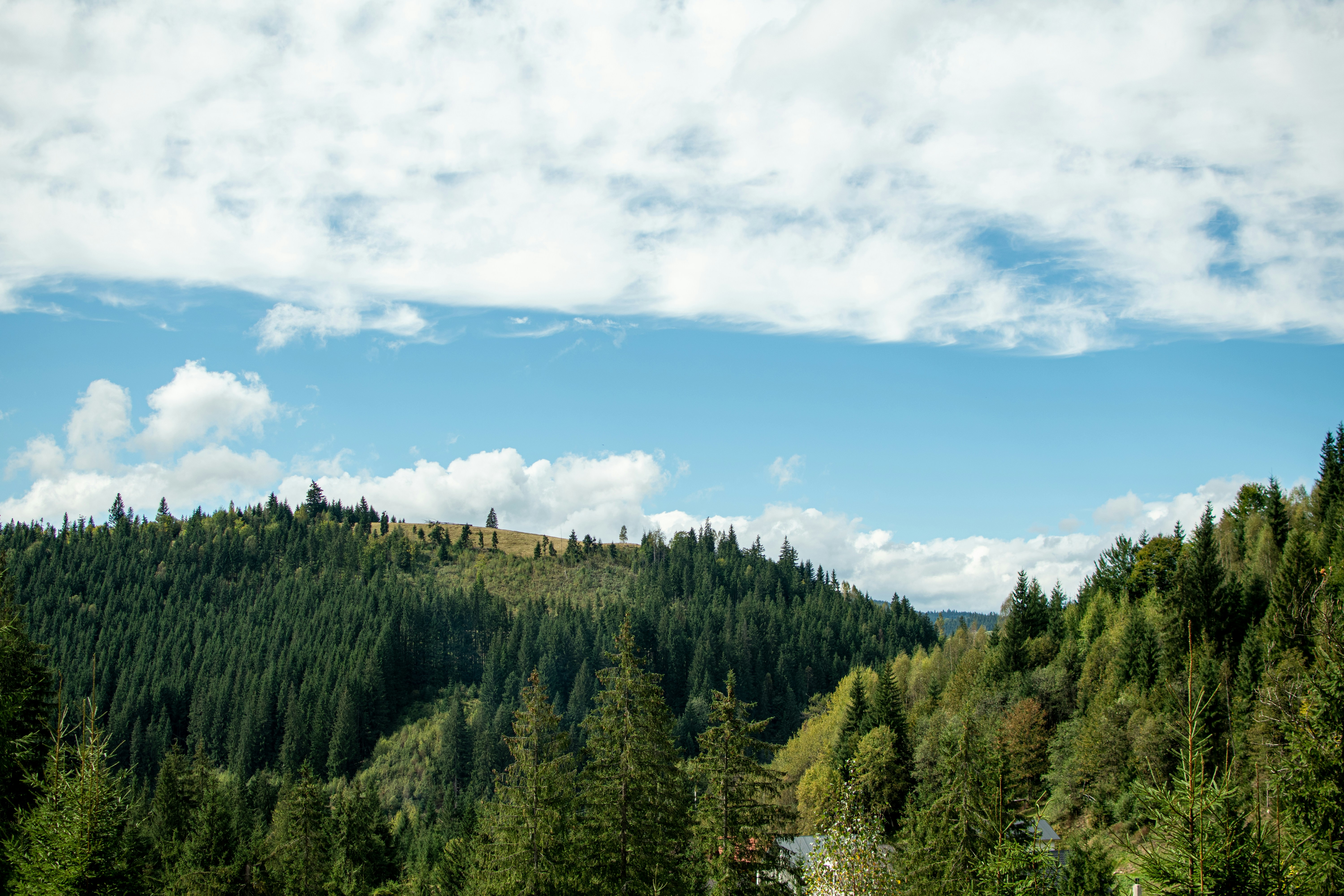 Photo by yevhen_stienin