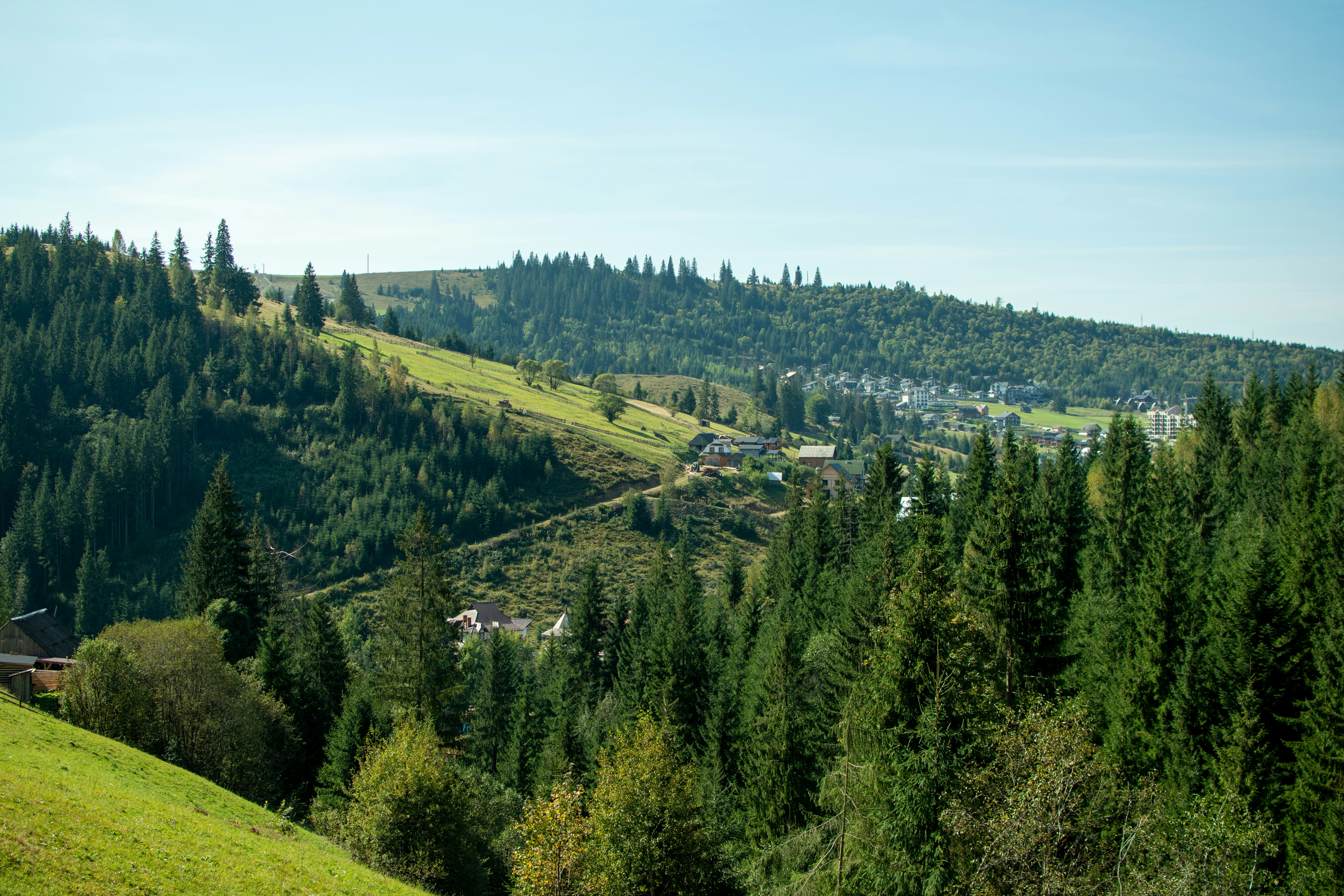 Photo by yevhen_stienin