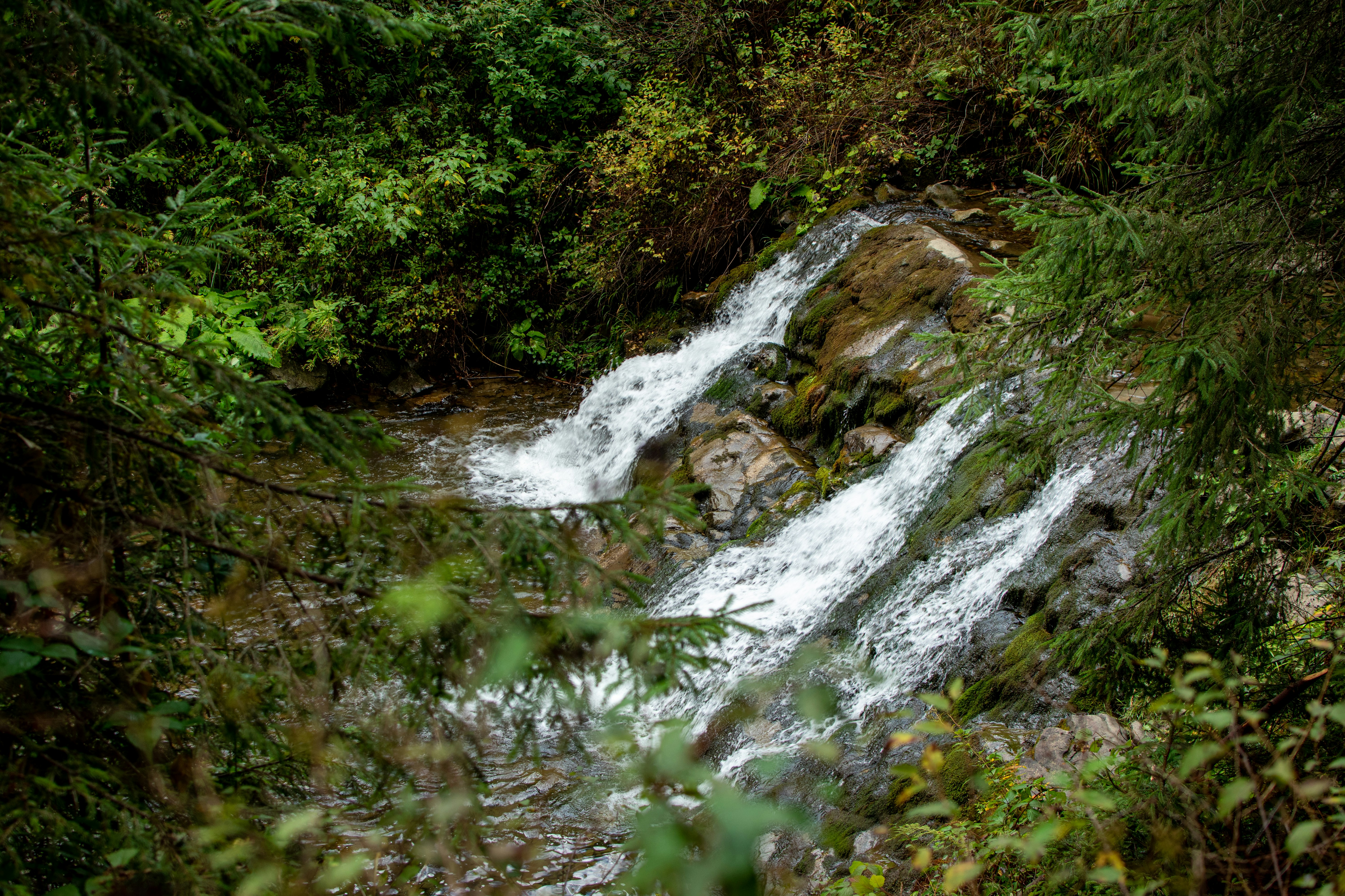 Photo by yevhen_stienin