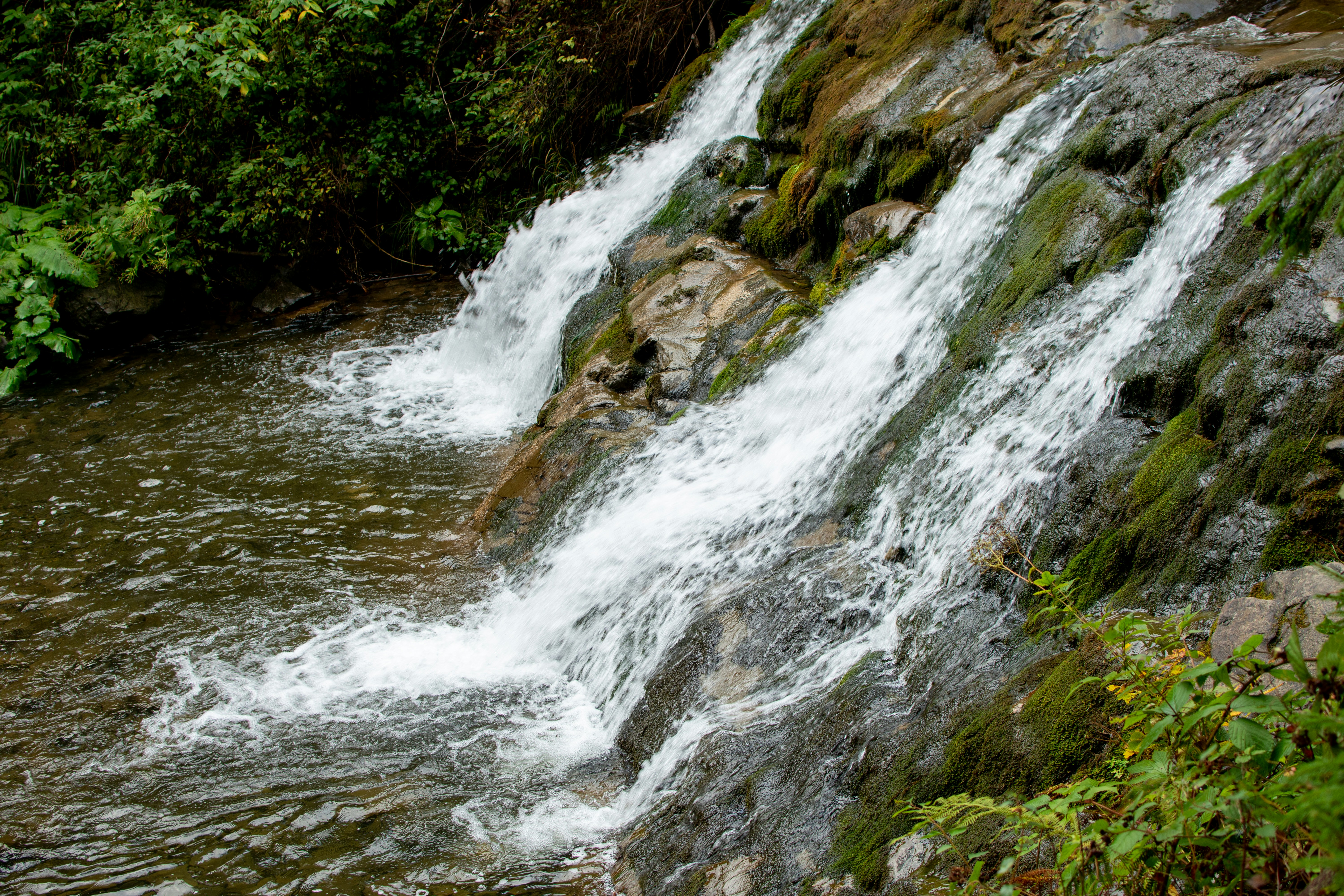 Photo by yevhen_stienin