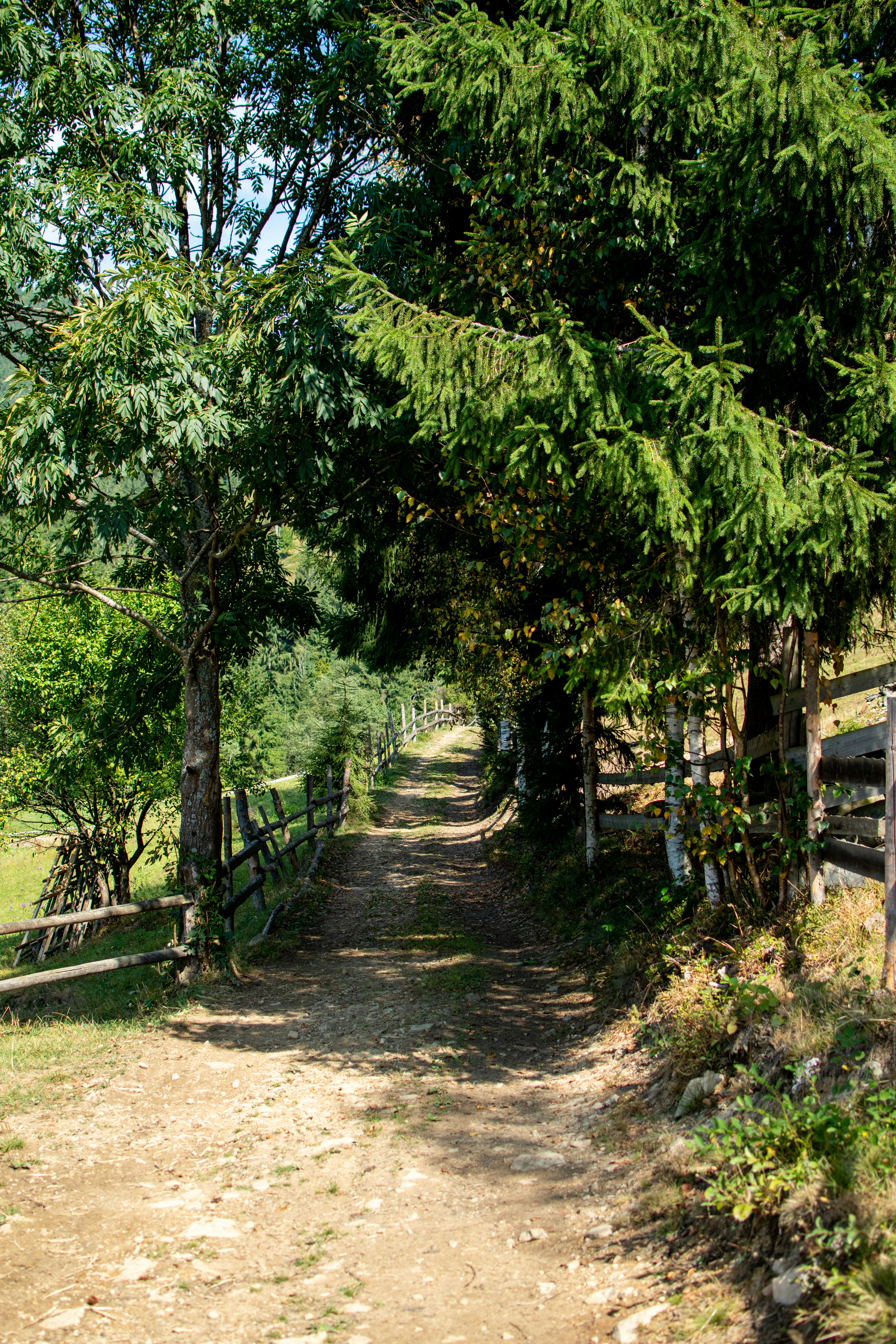 Photo by yevhen_stienin