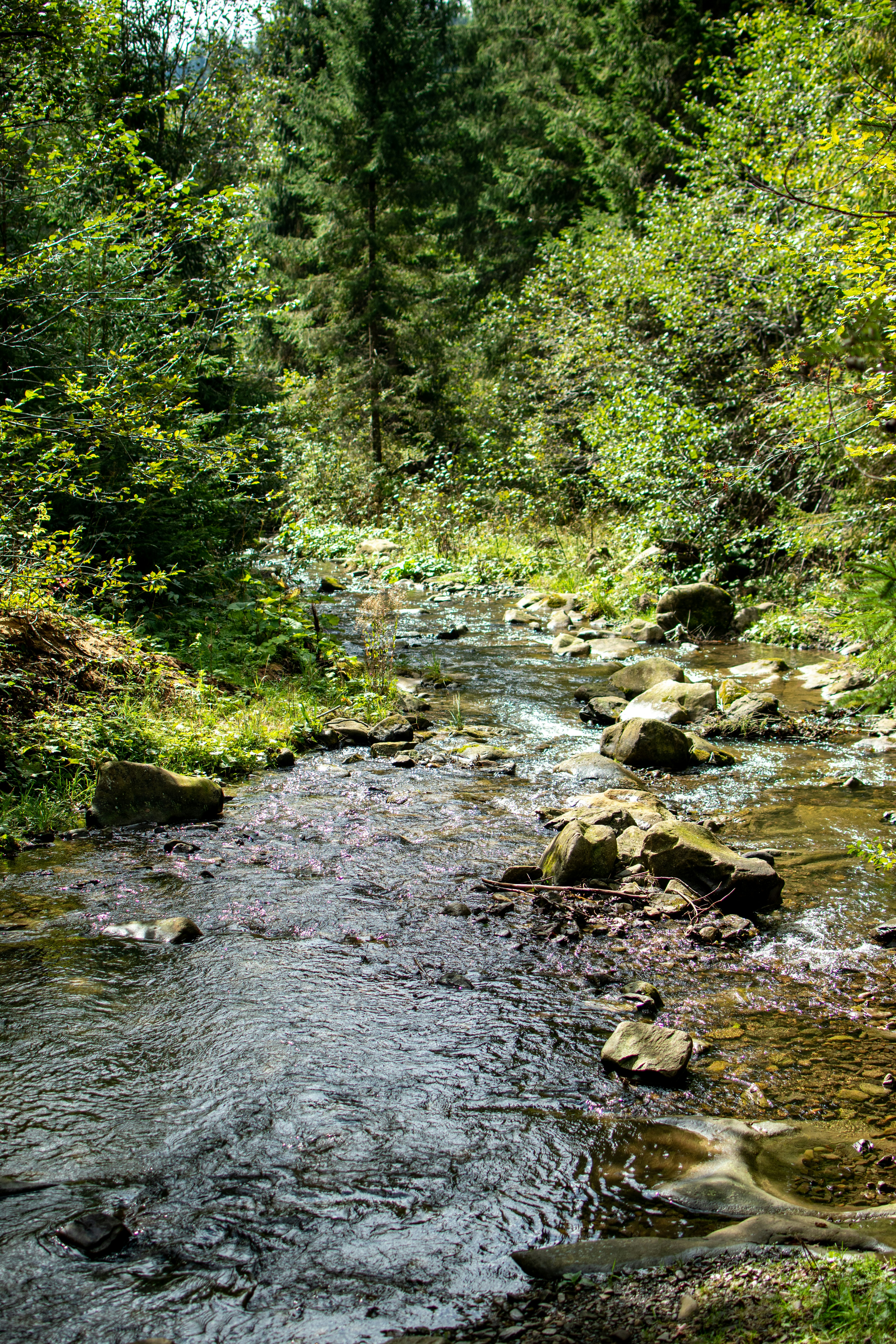 Photo by yevhen_stienin