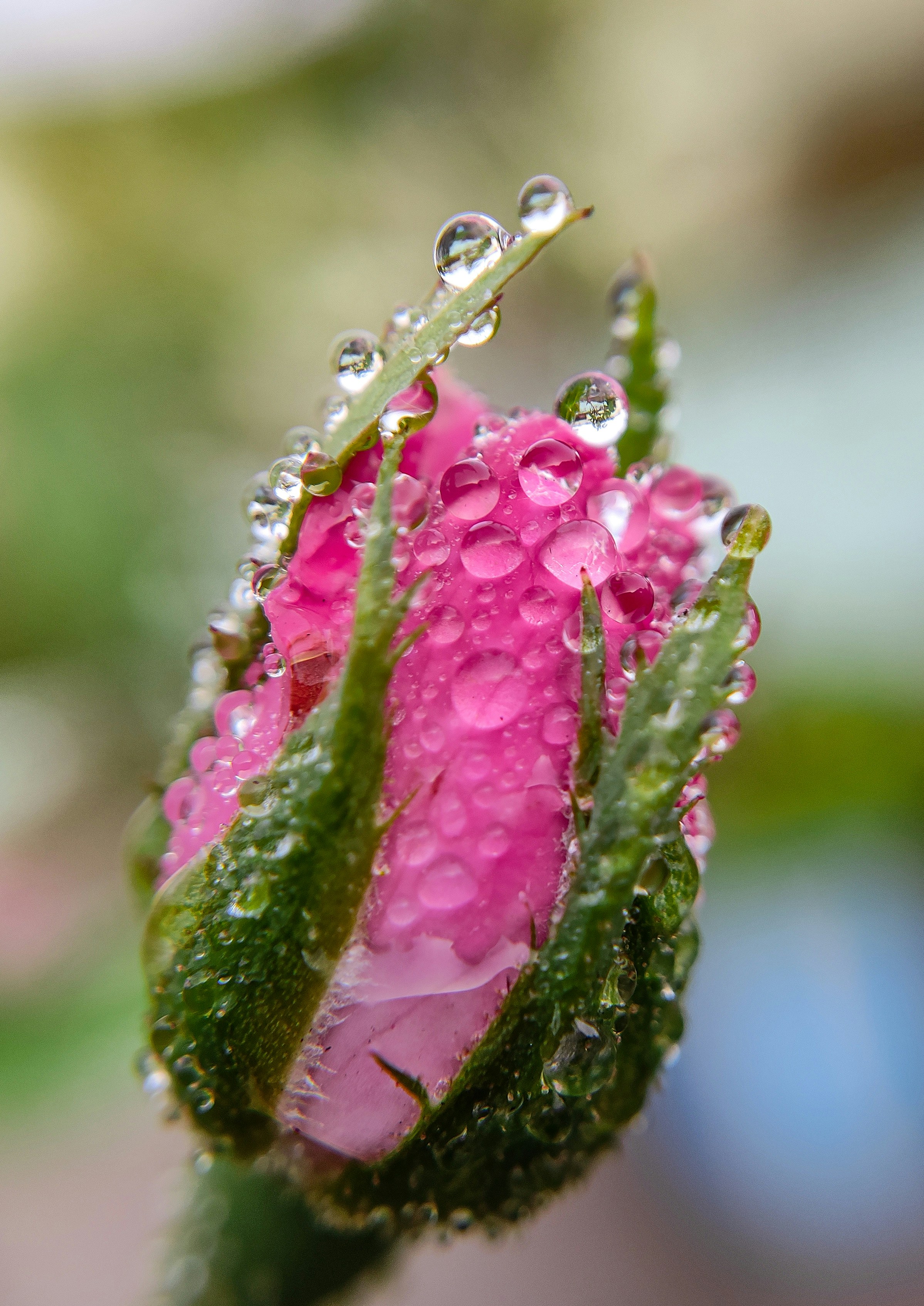 Photo by macrosam