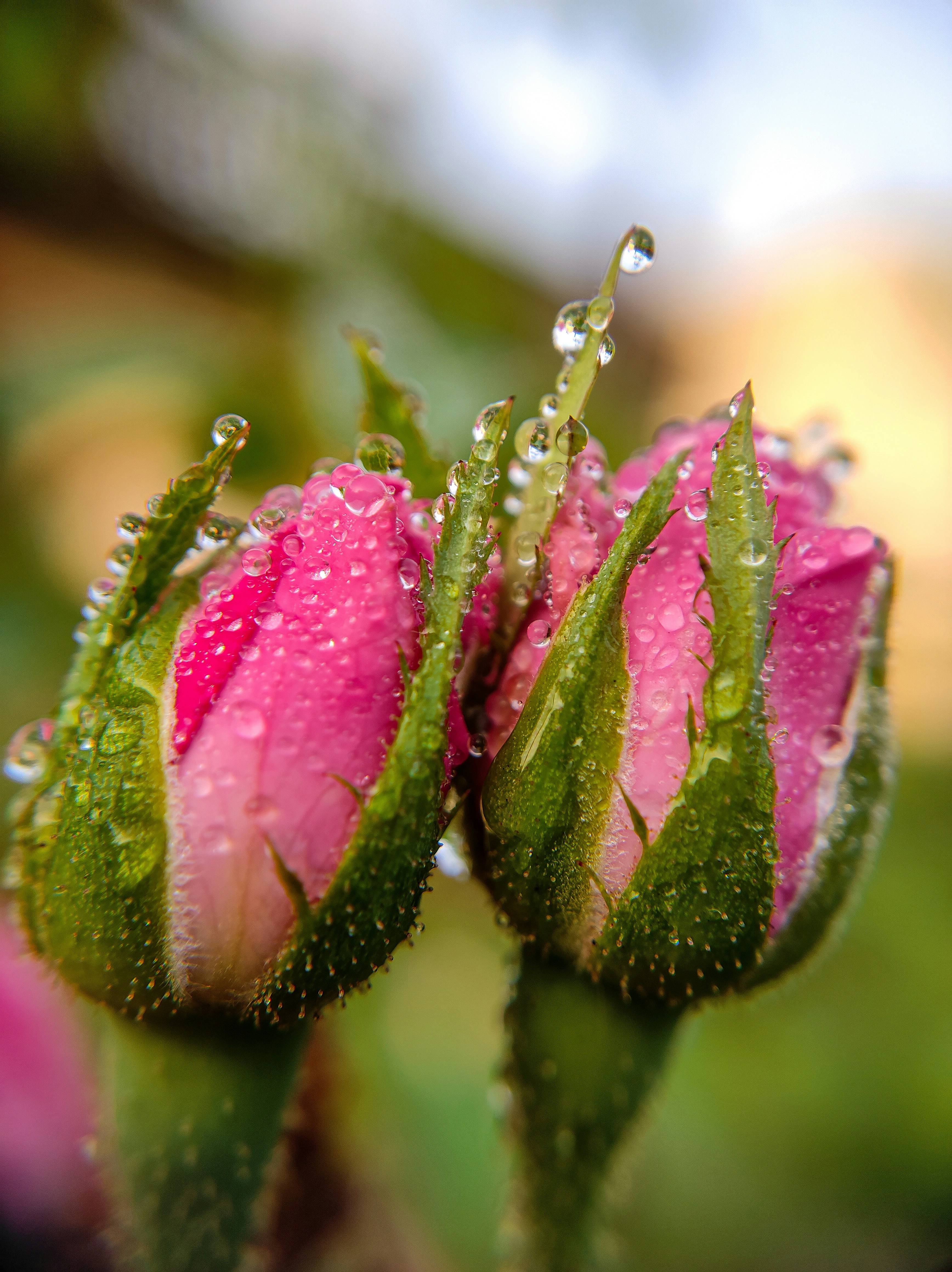 Photo by macrosam