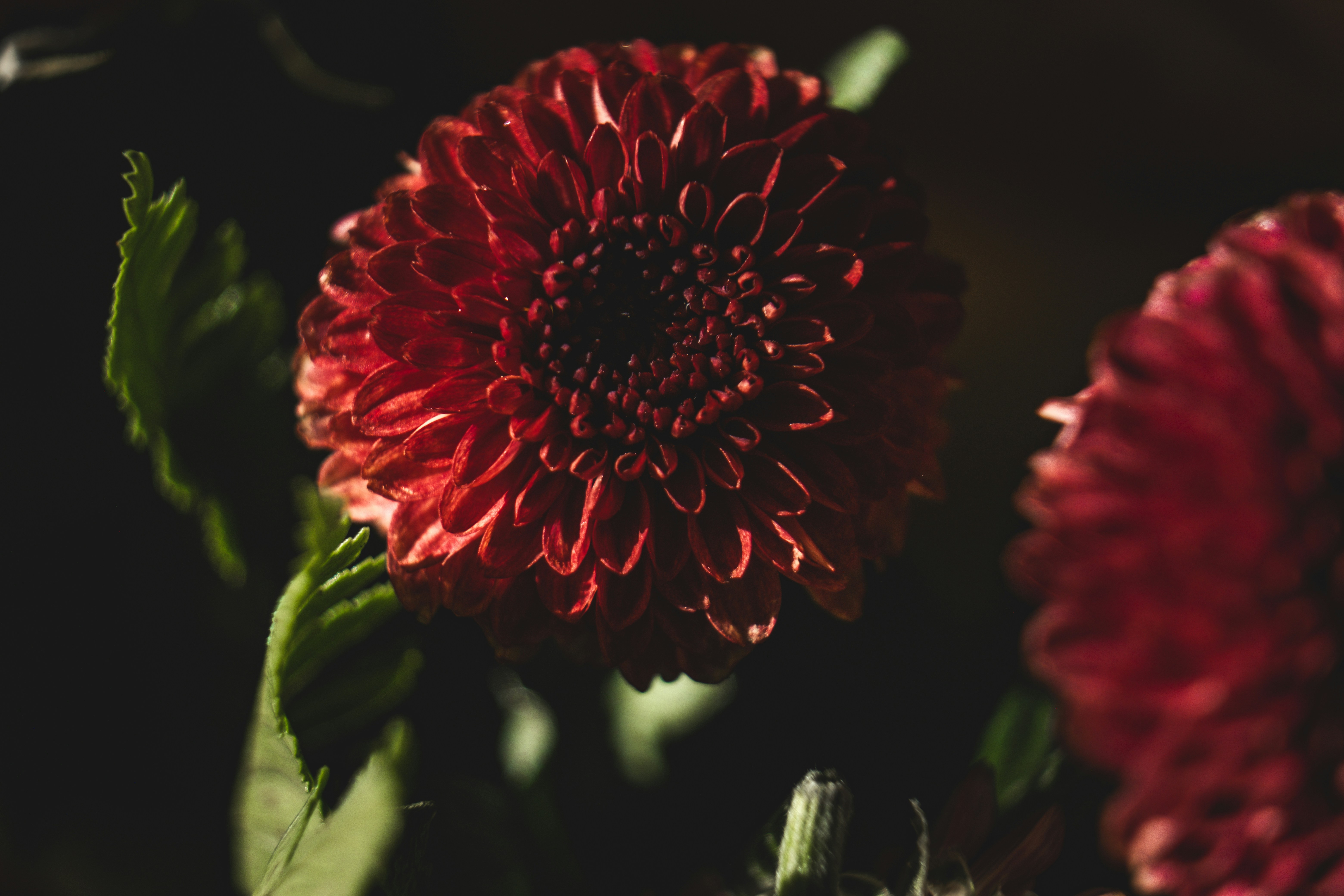 Photo by francesco_ungaro