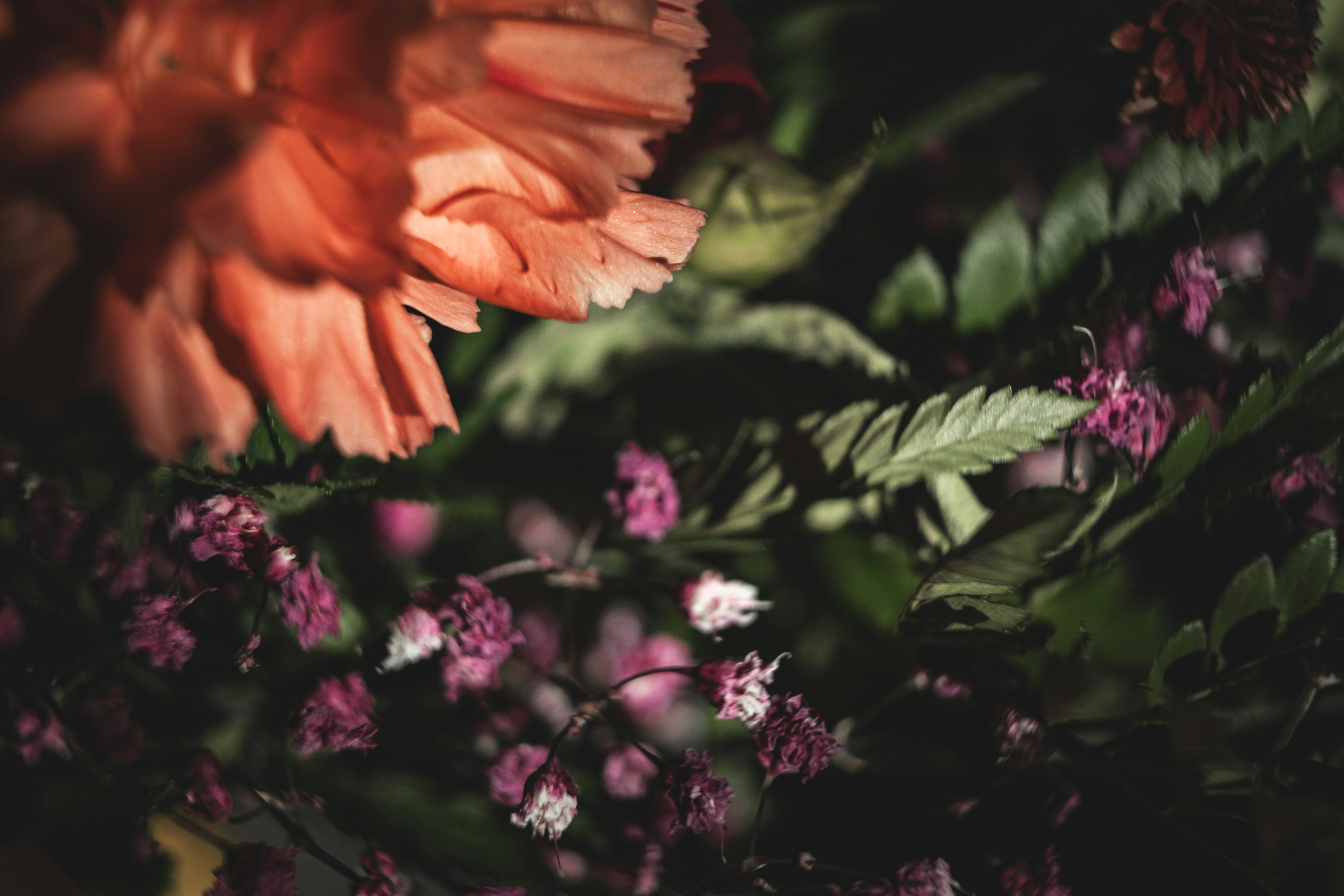 Photo by francesco_ungaro