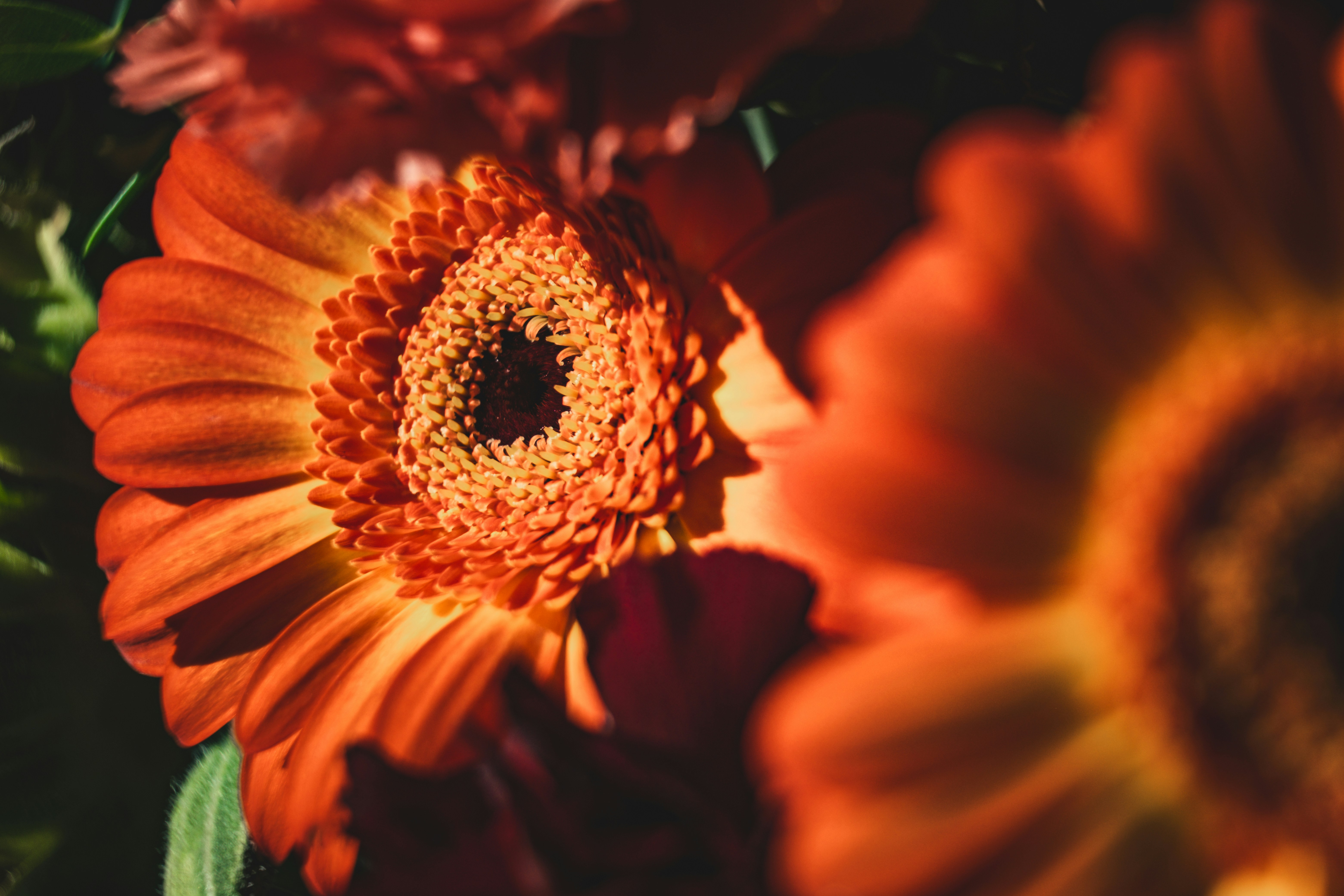 Photo by francesco_ungaro