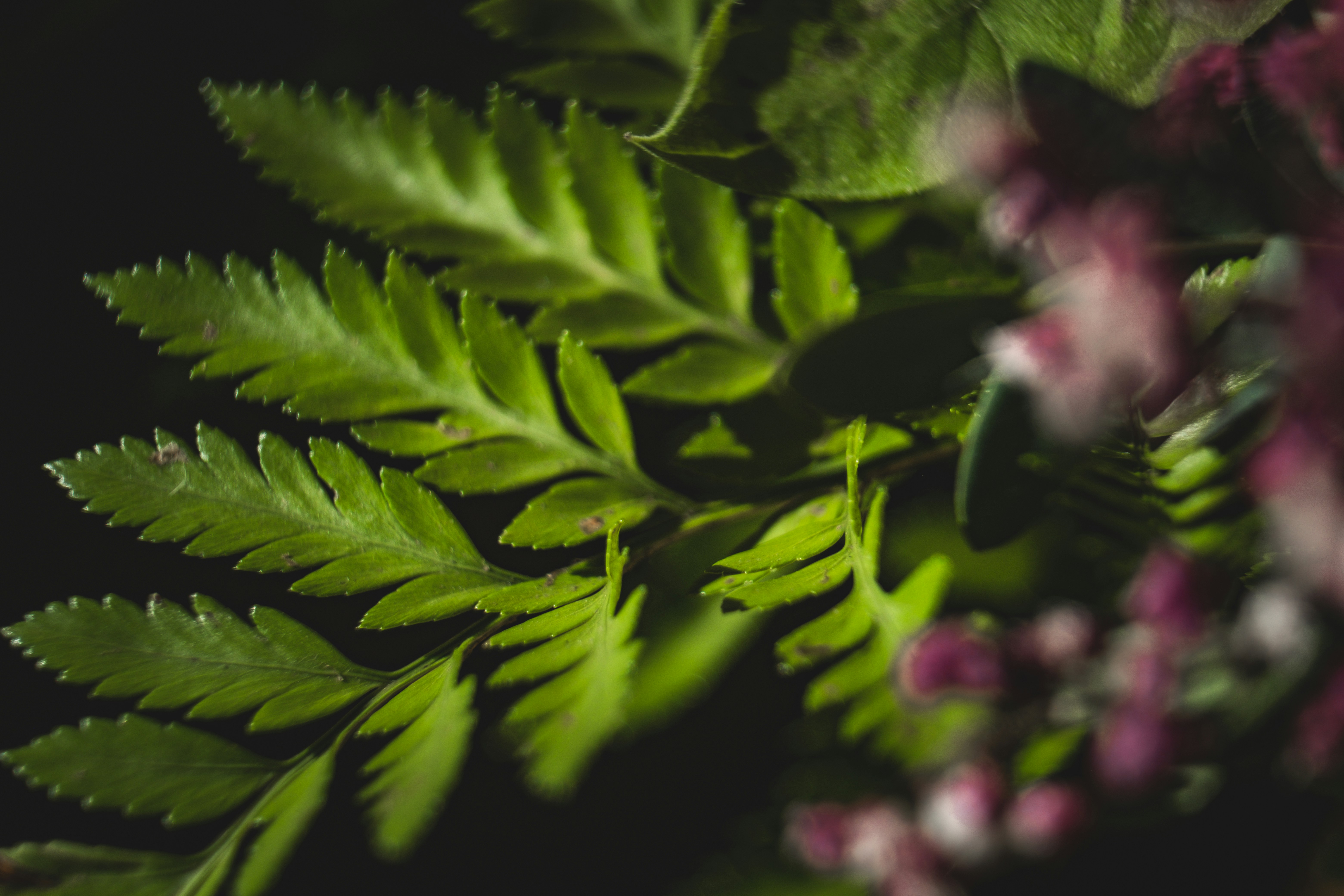 Photo by francesco_ungaro