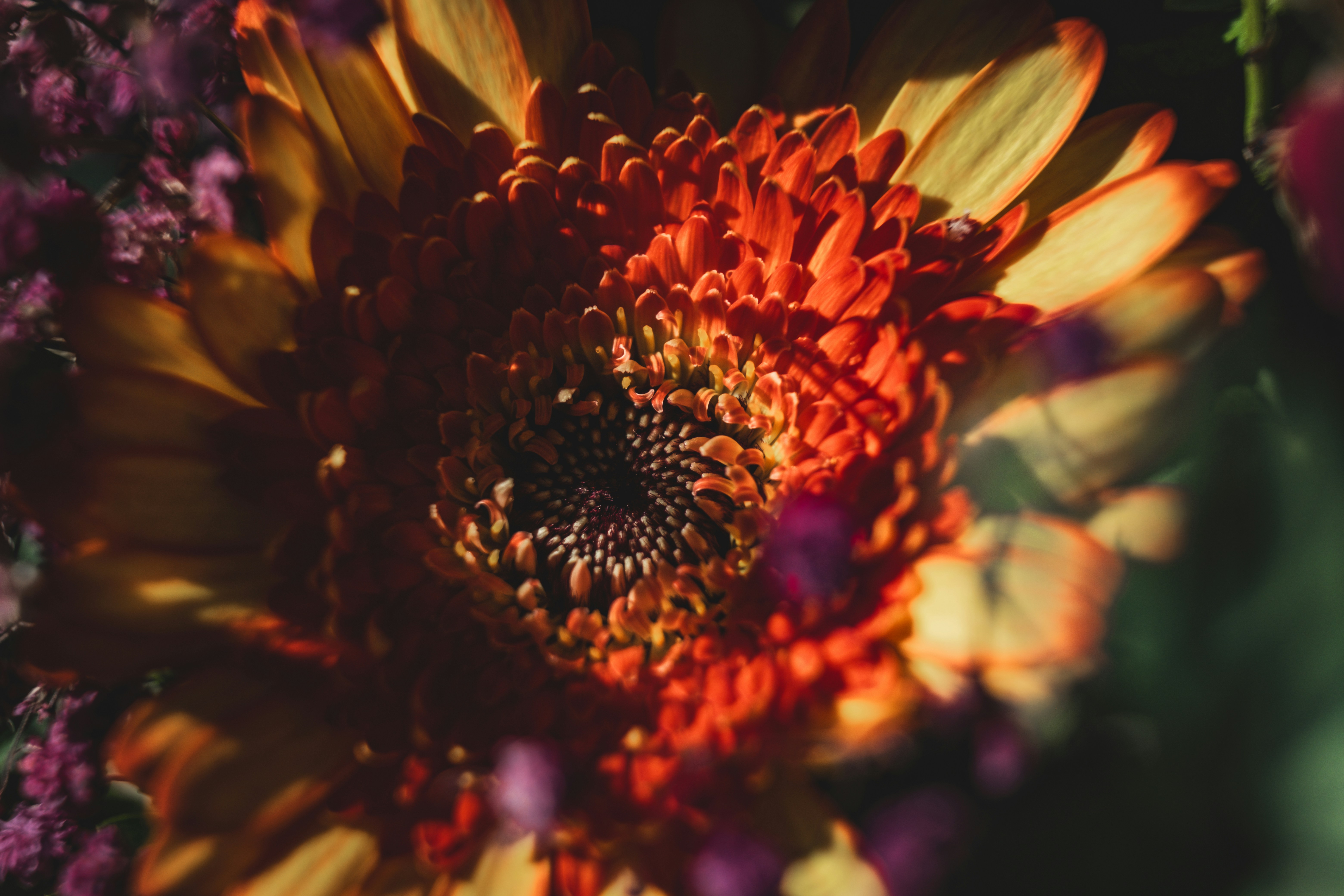 Photo by francesco_ungaro