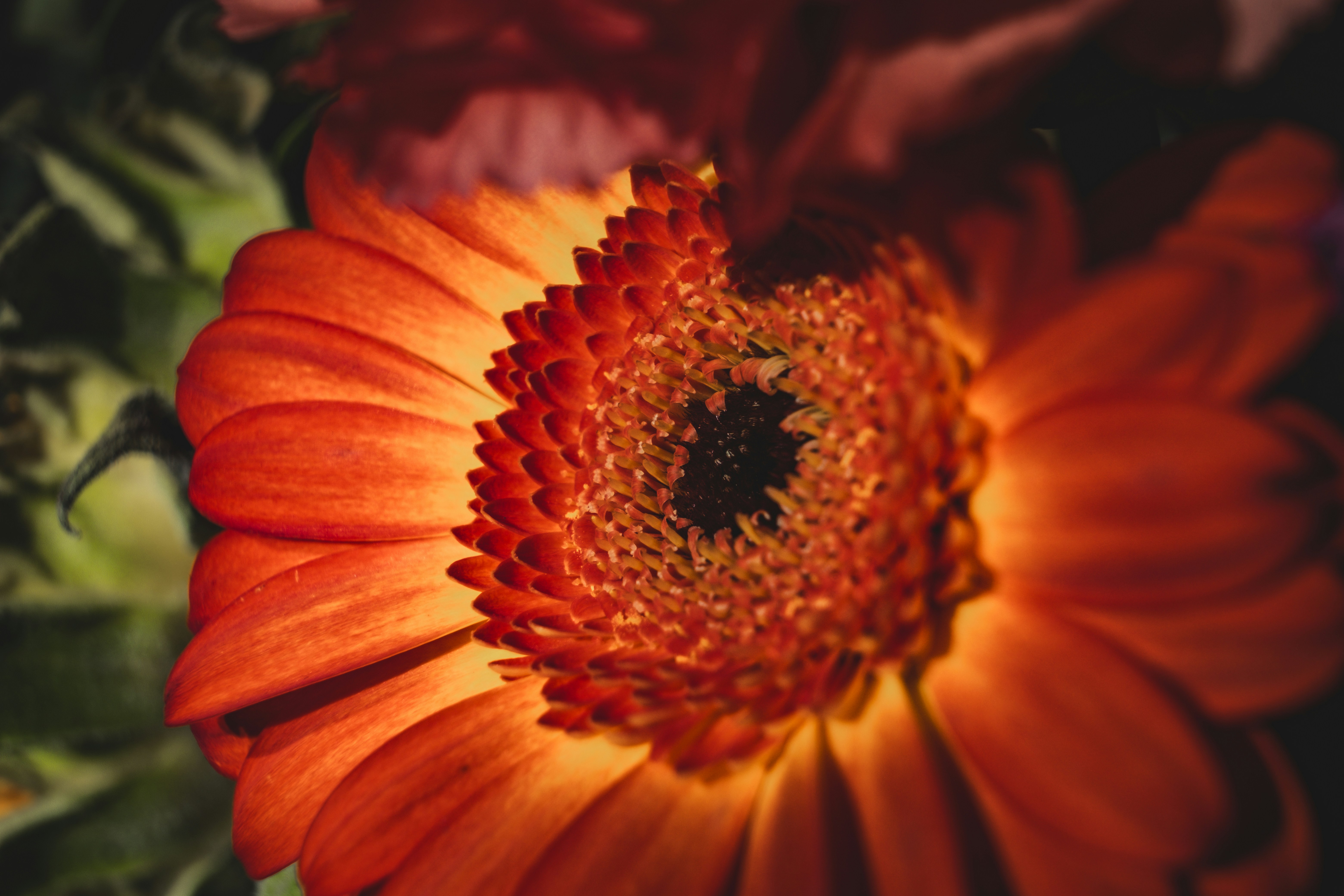 Photo by francesco_ungaro