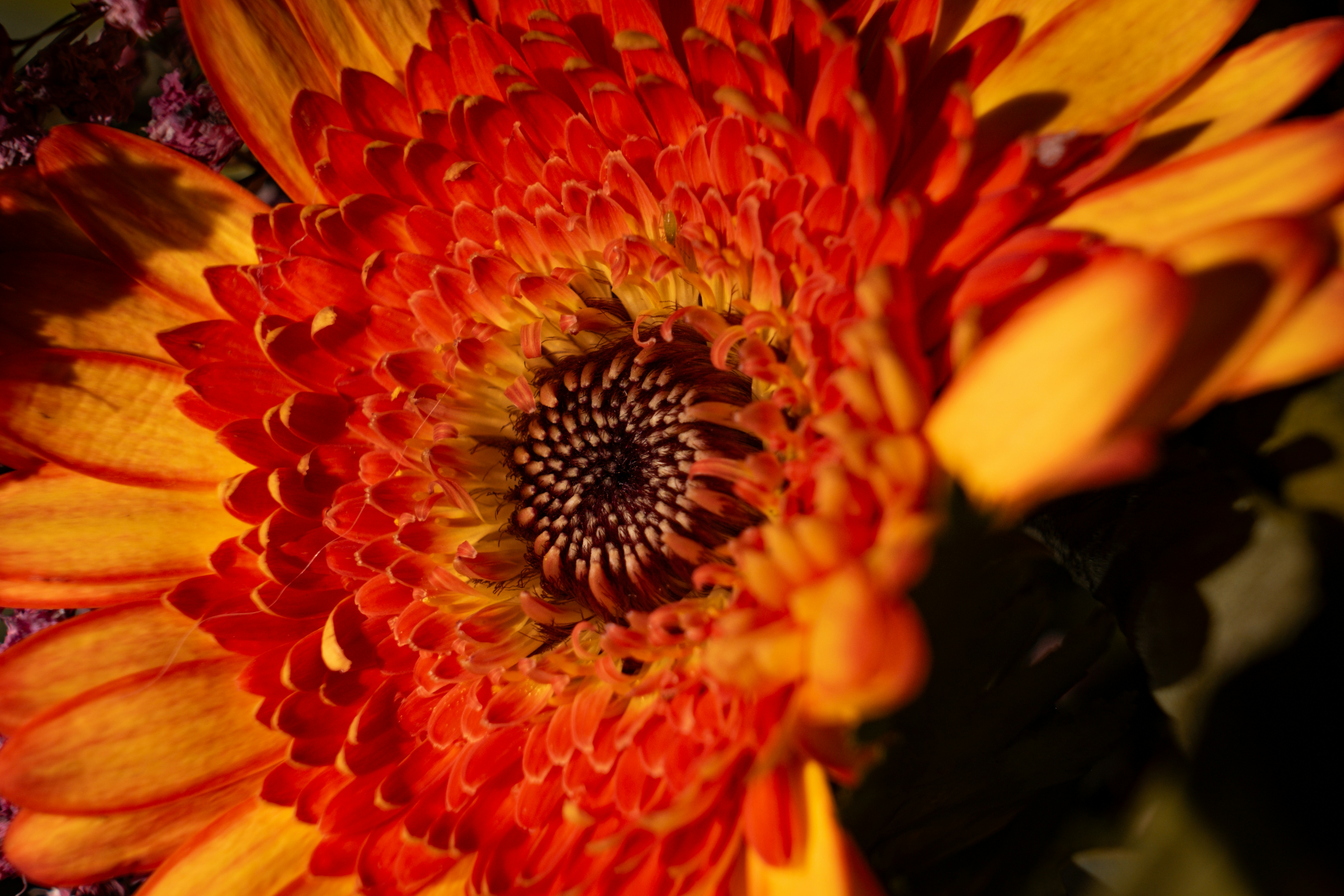 Photo by francesco_ungaro