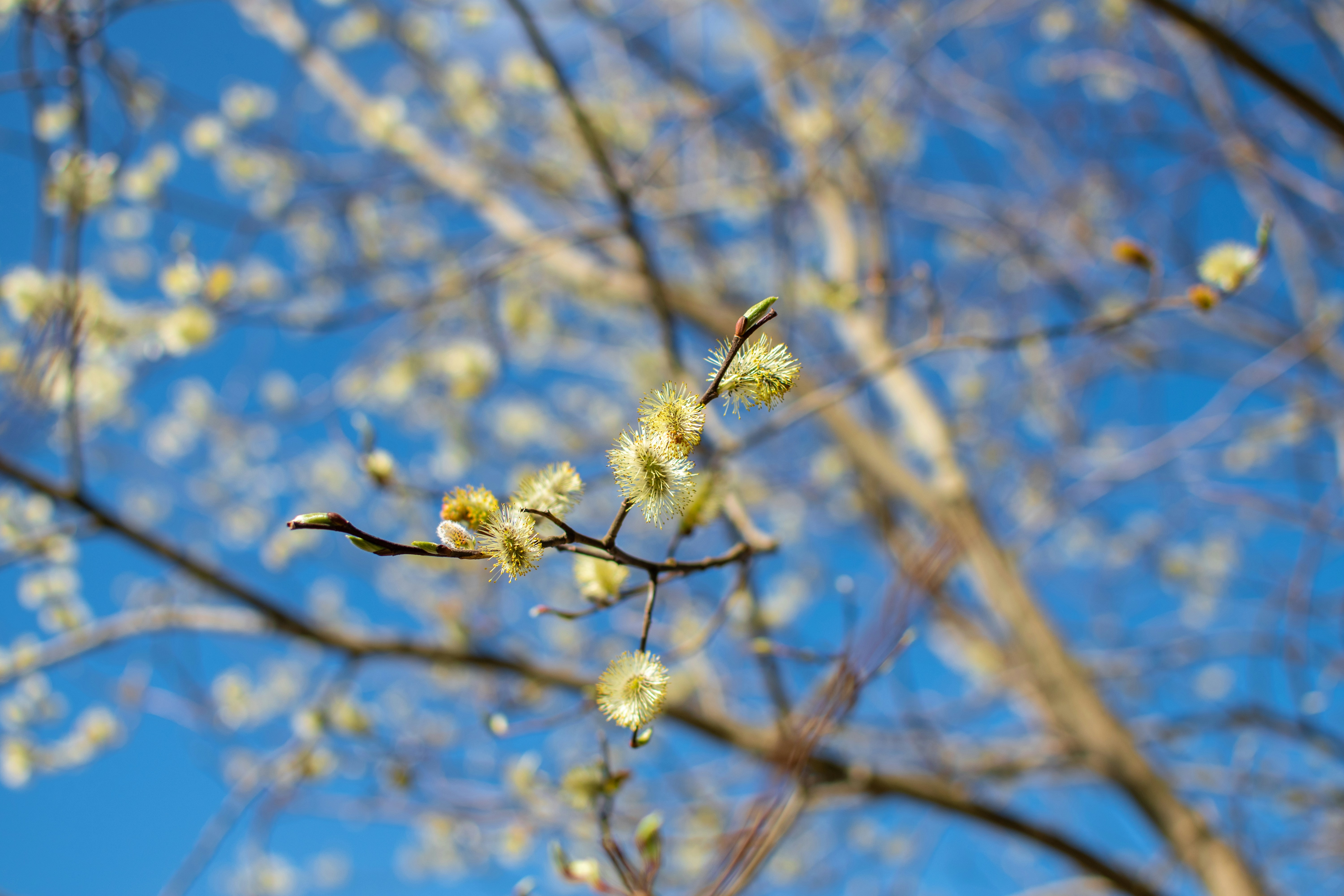 Photo by yevhen_stienin