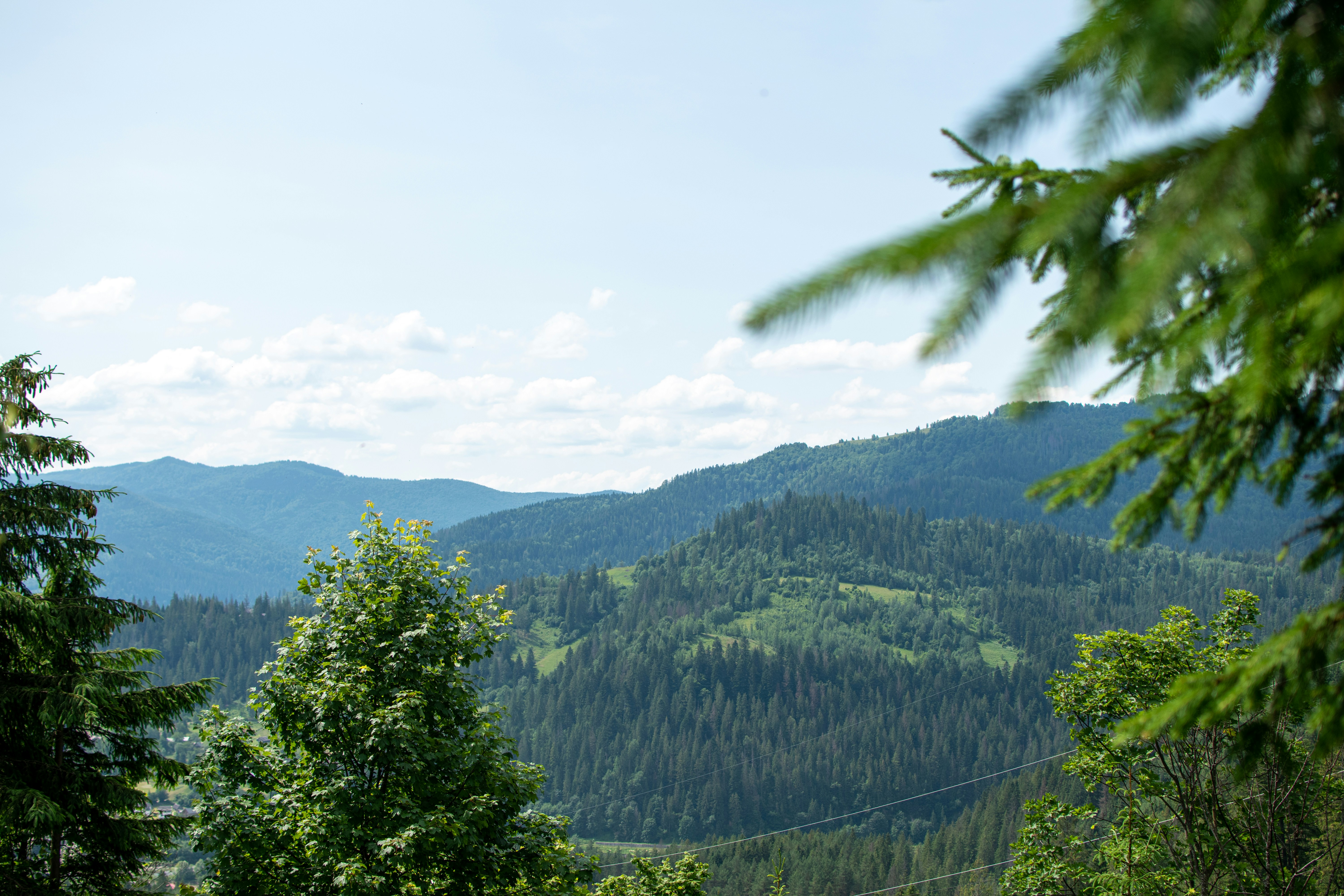 Photo by yevhen_stienin