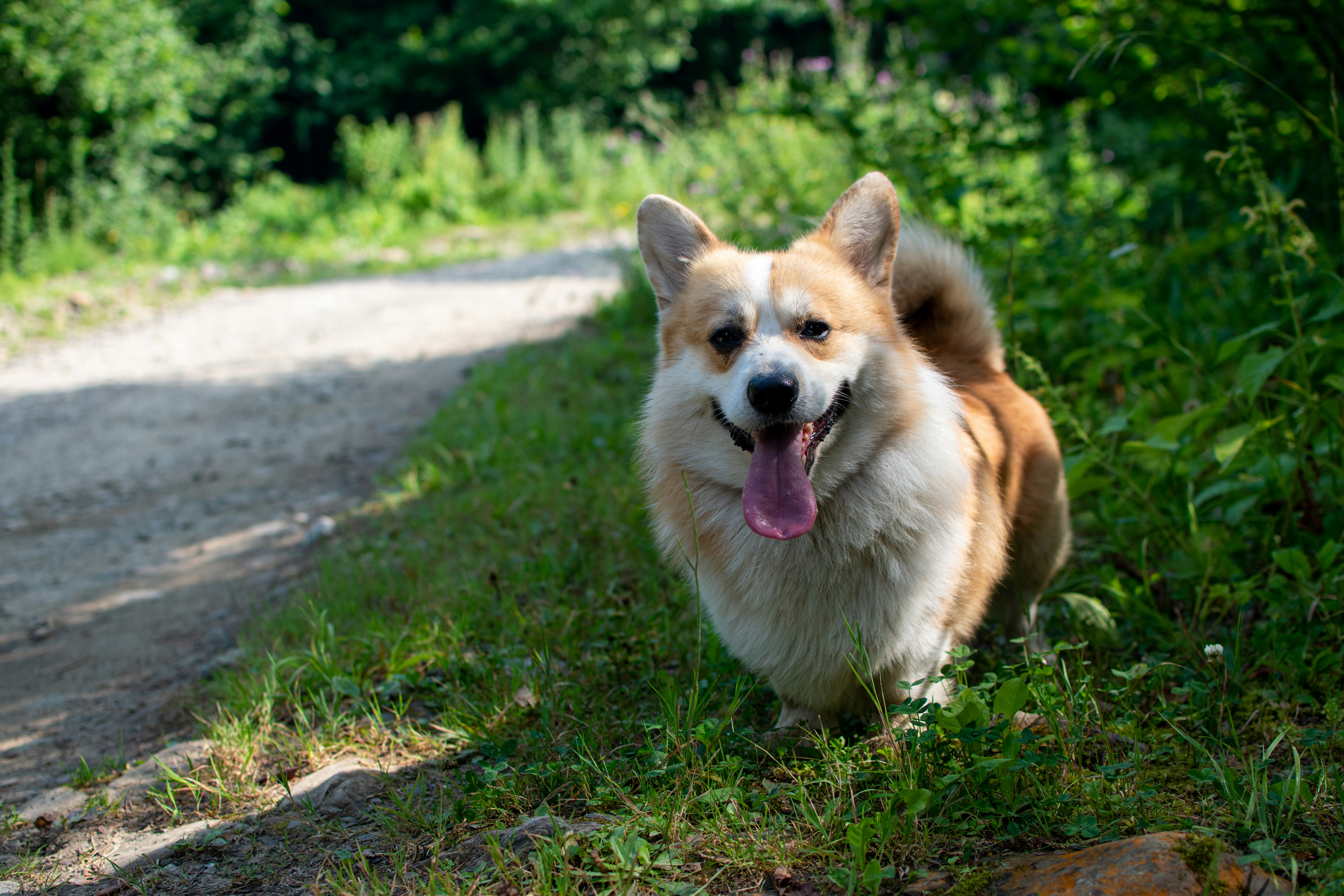 Photo by yevhen_stienin