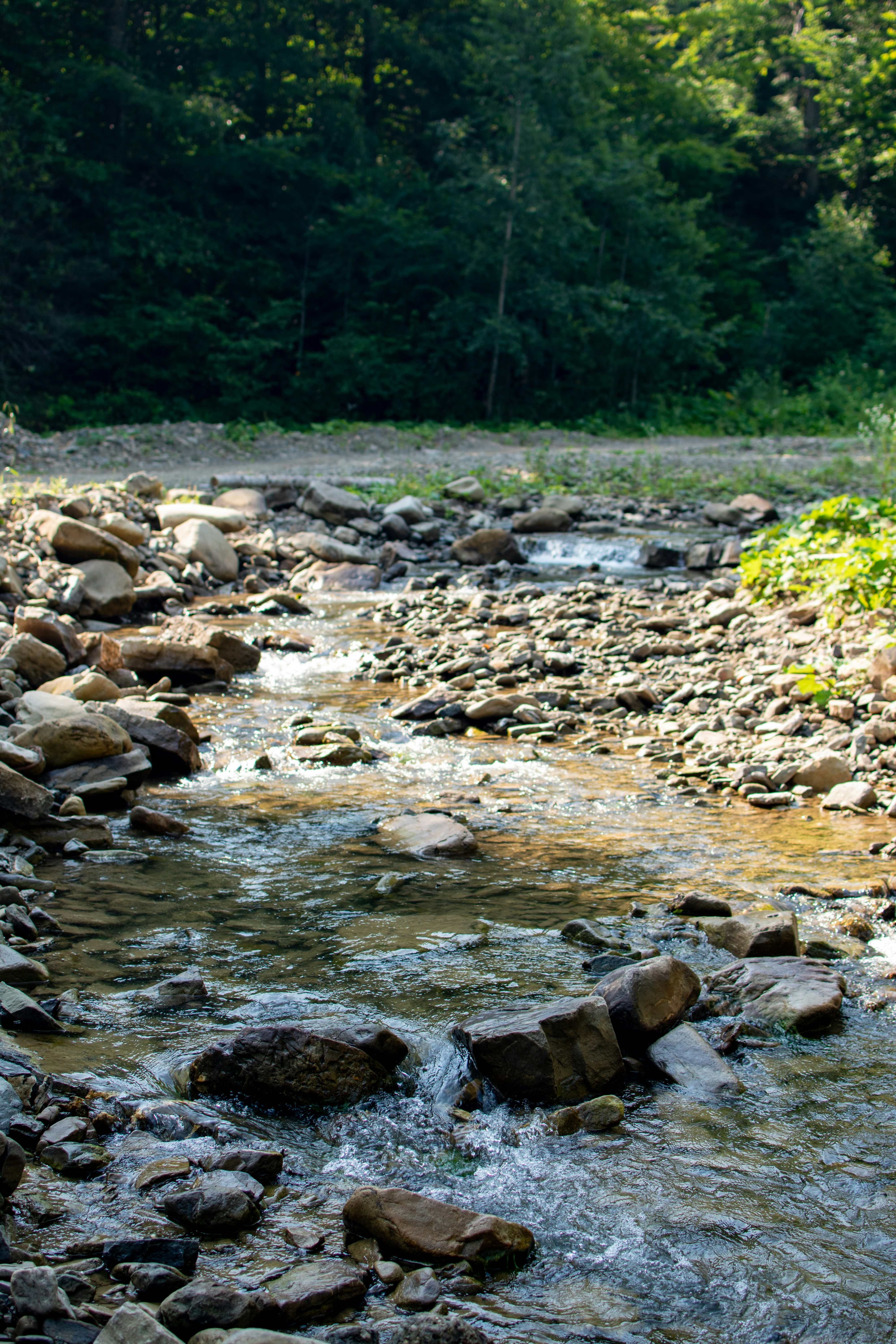 Photo by yevhen_stienin