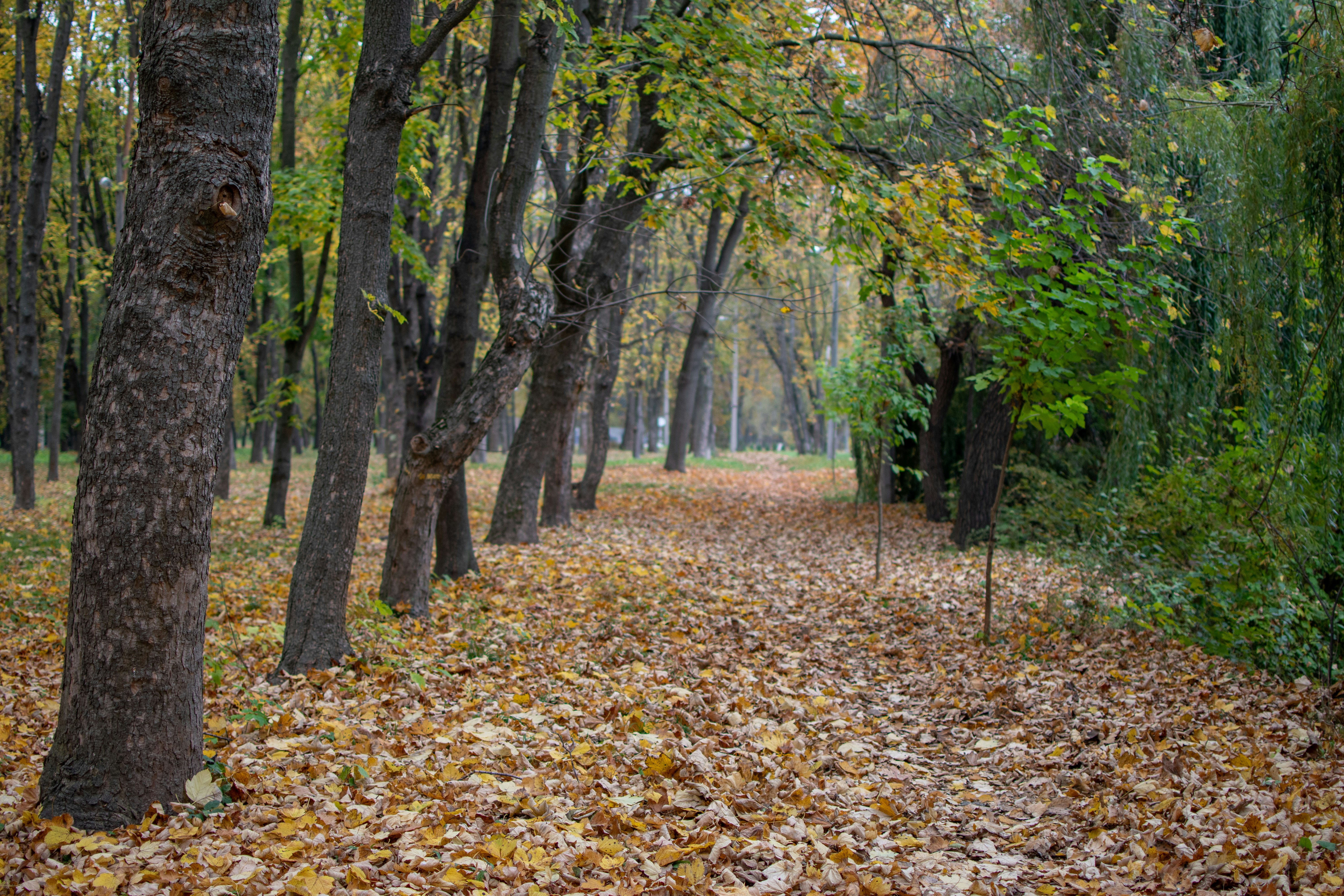 Photo by yevhen_stienin