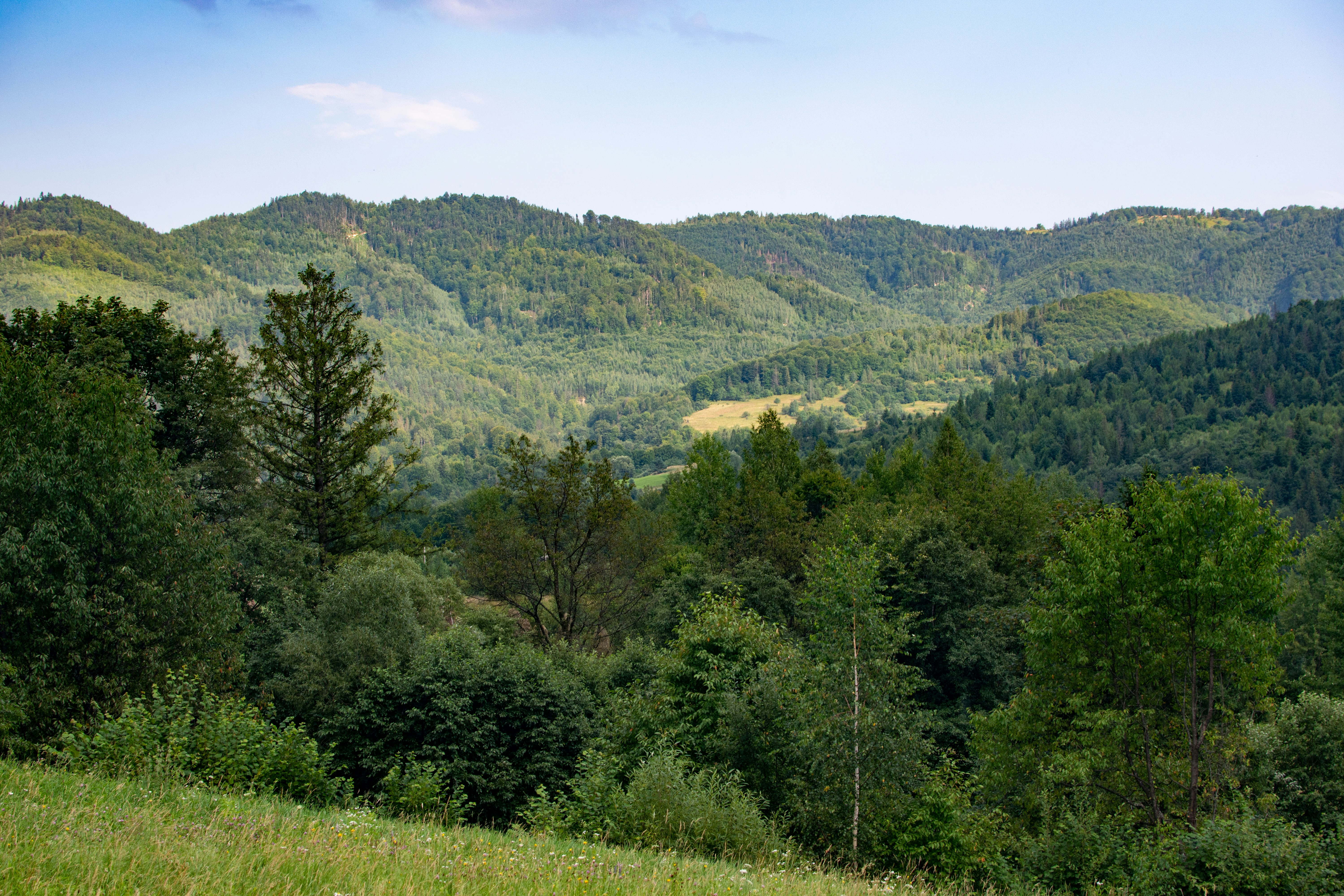 Photo by yevhen_stienin