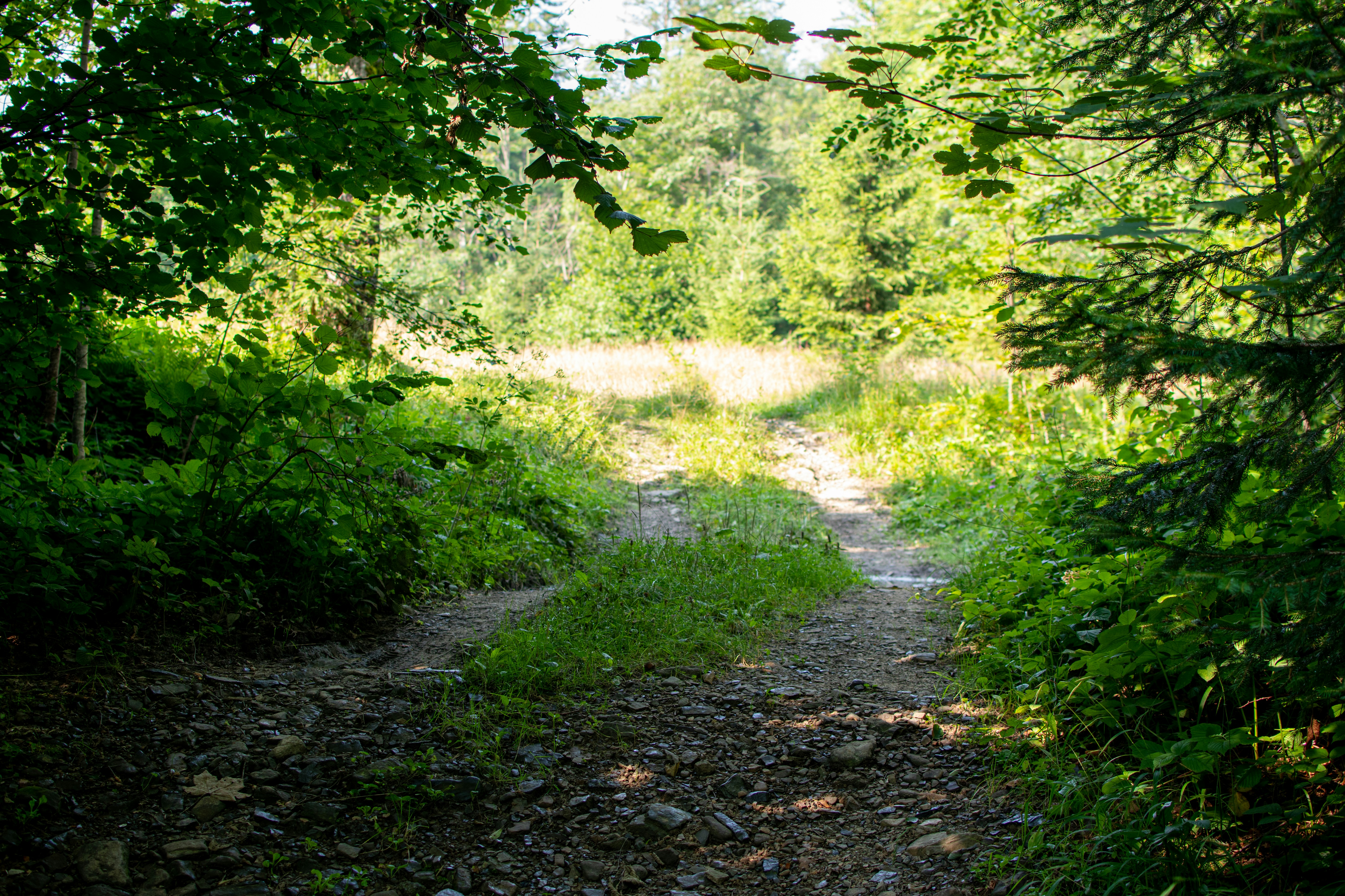 Photo by yevhen_stienin