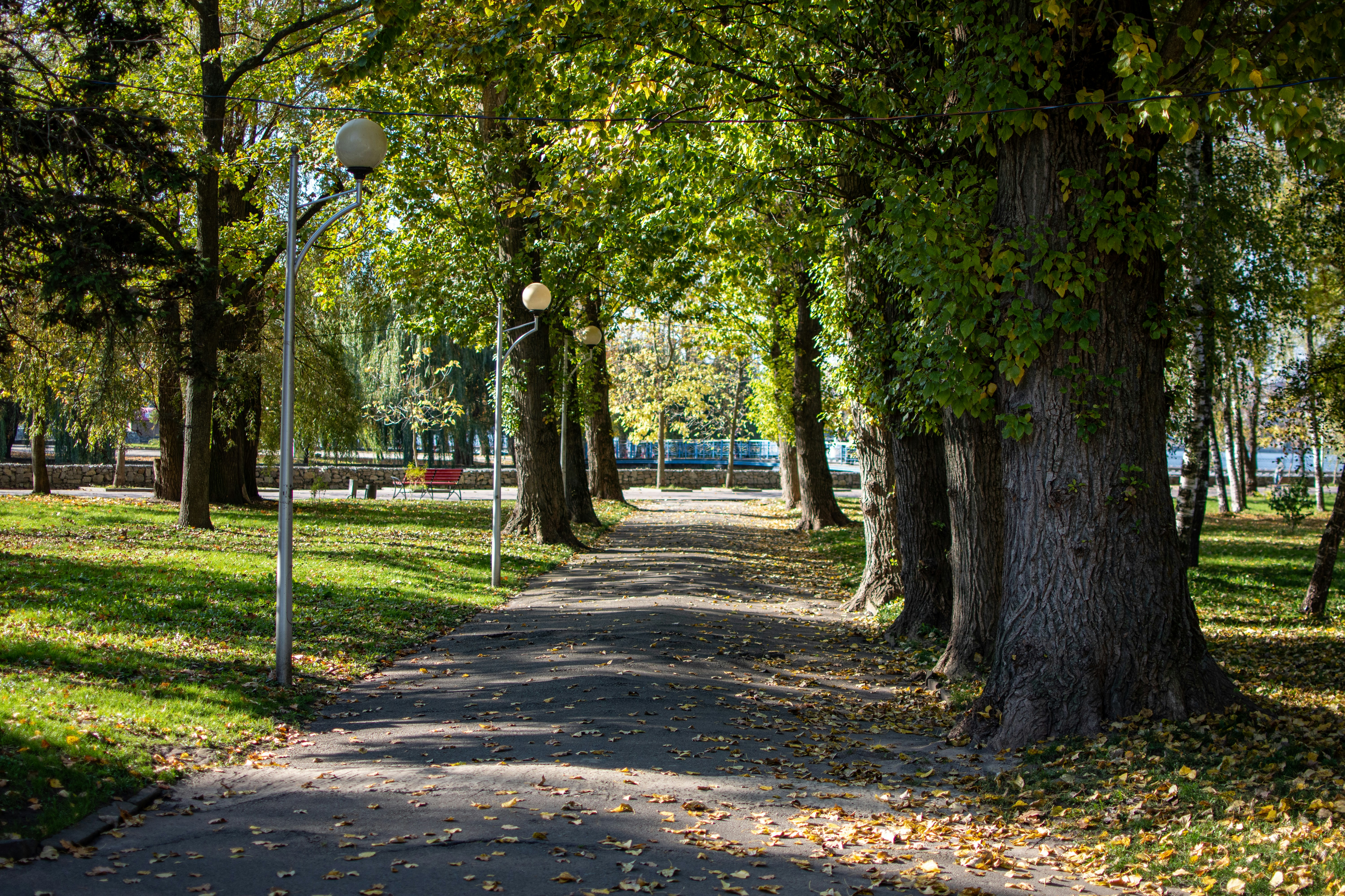 Photo by yevhen_stienin