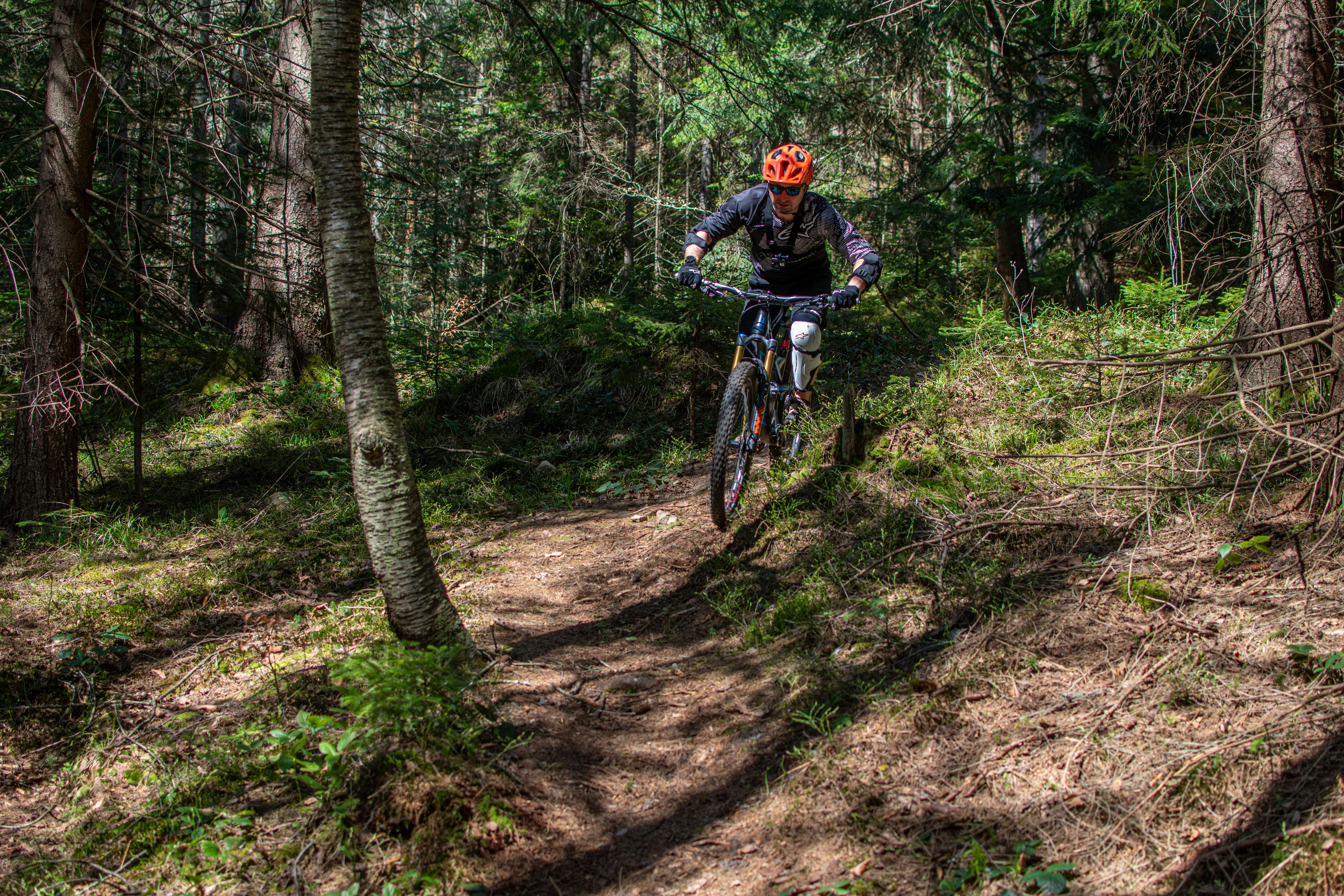 A man riding a bike through a forest