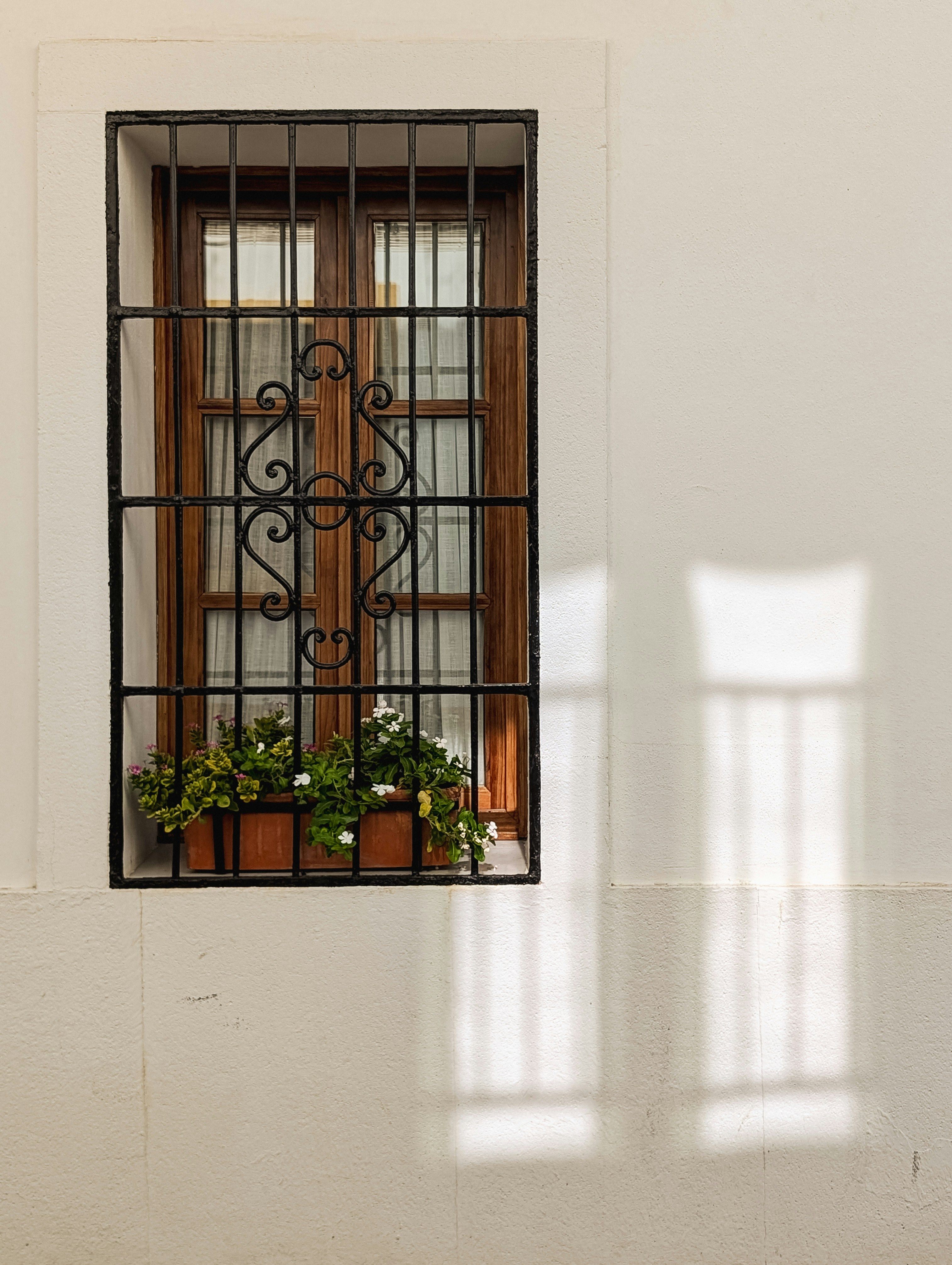 A window that has a potted plant in it