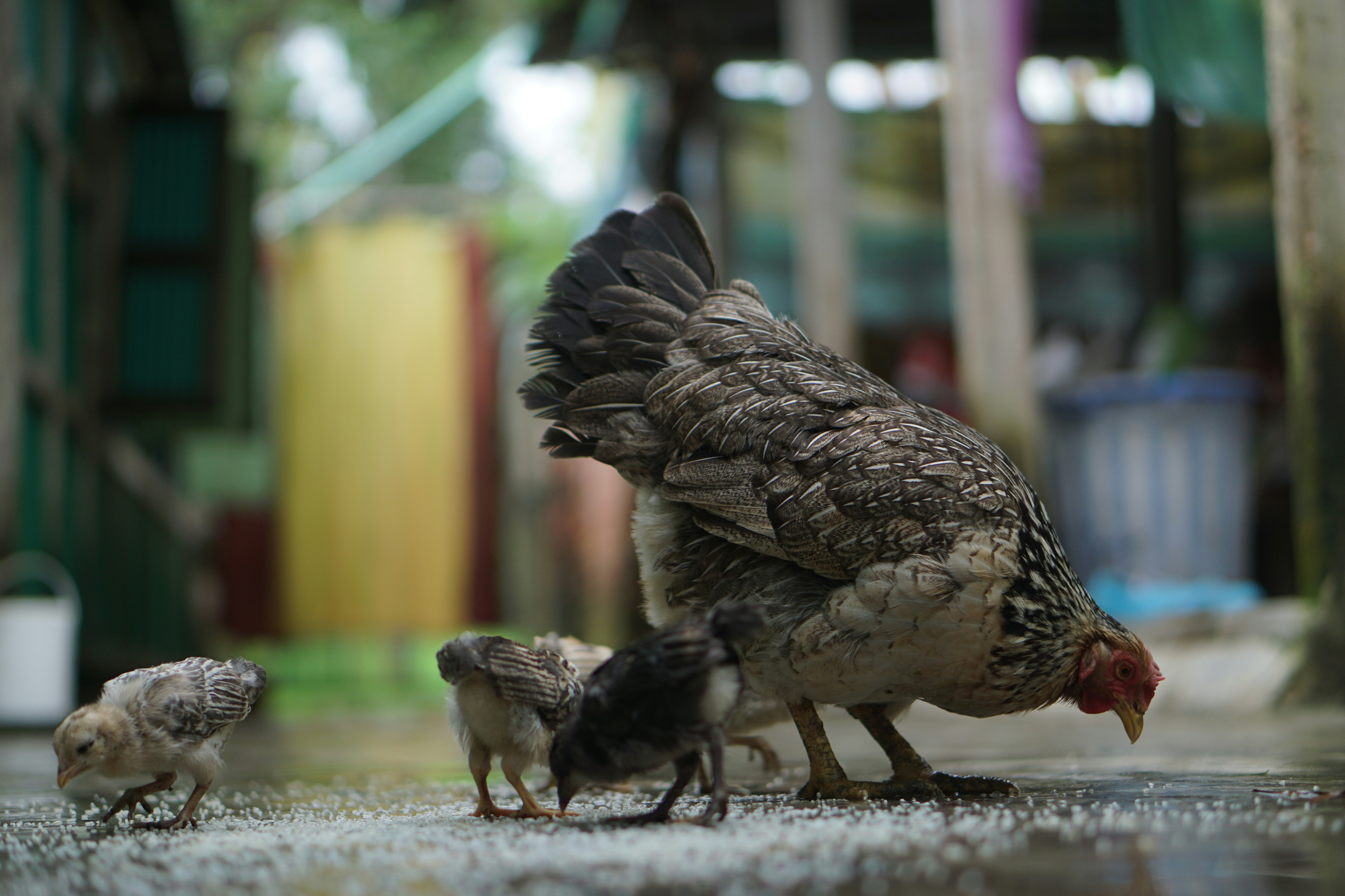 Photo by iammottakin