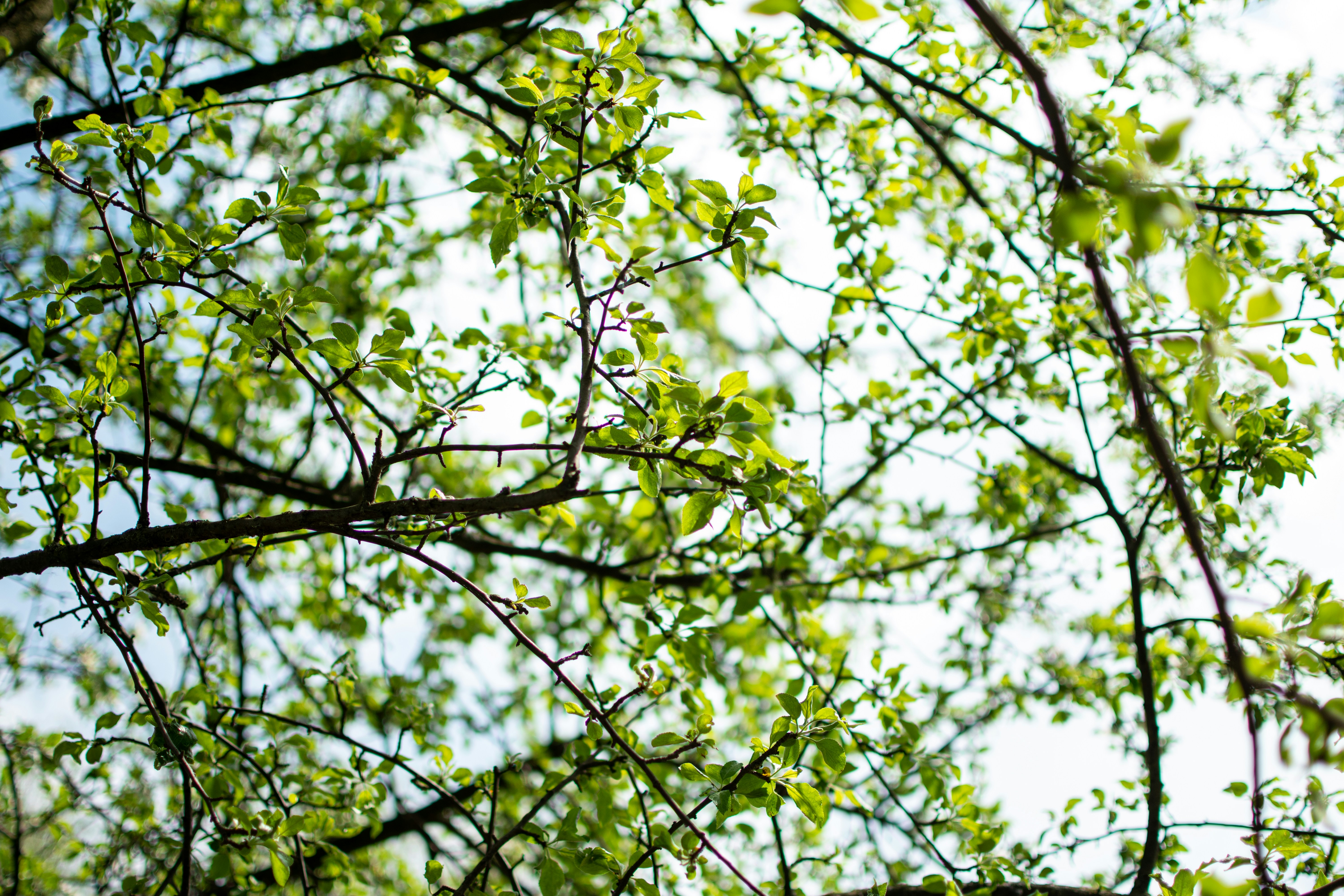 Photo by yevhen_stienin